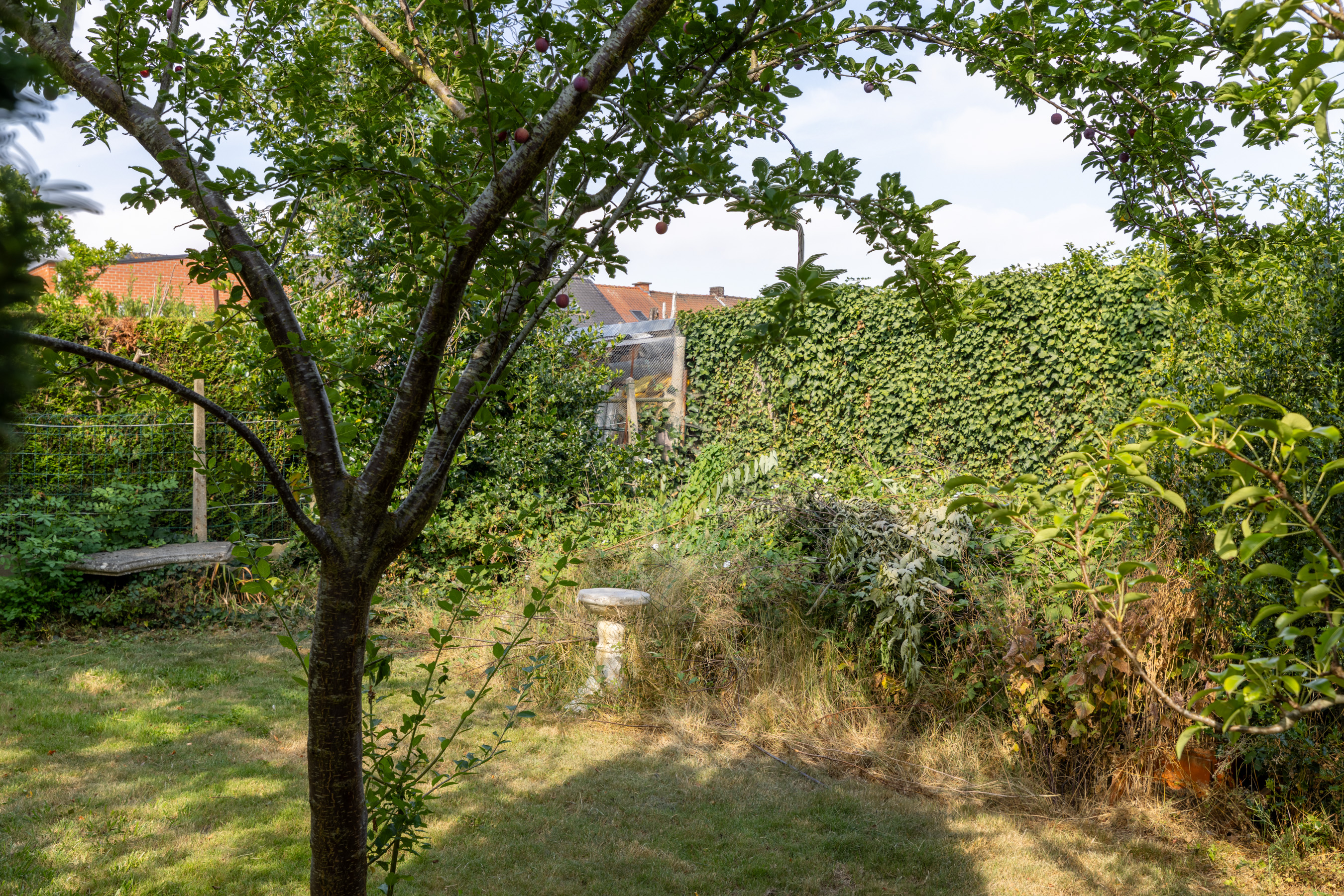 Mathieu image 19