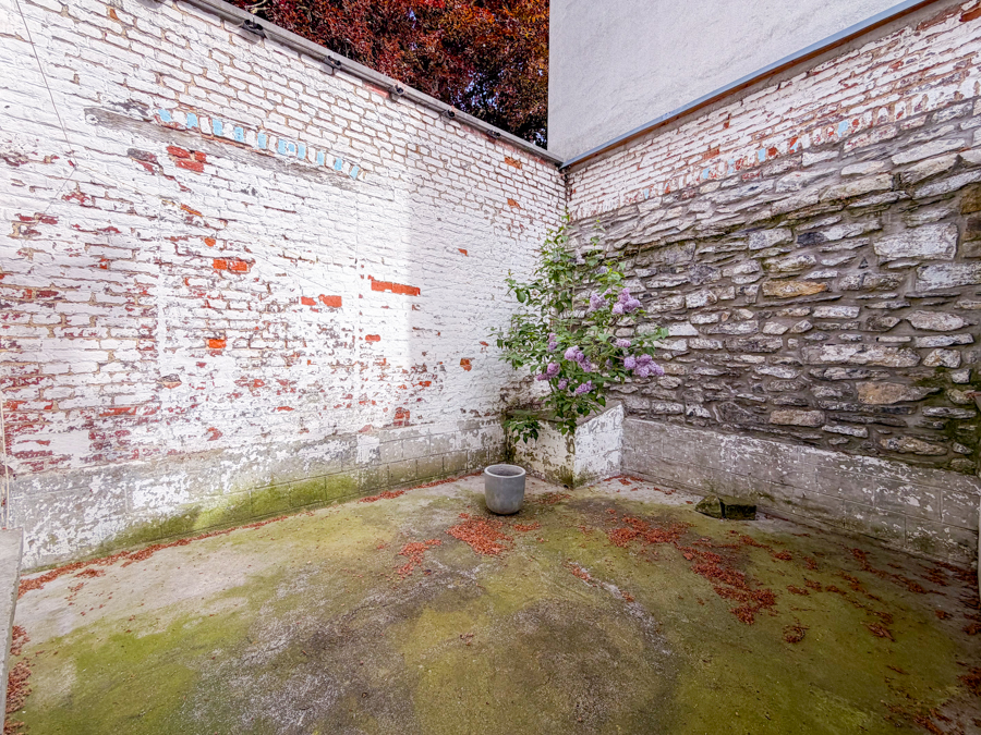 Brice-01 image 6