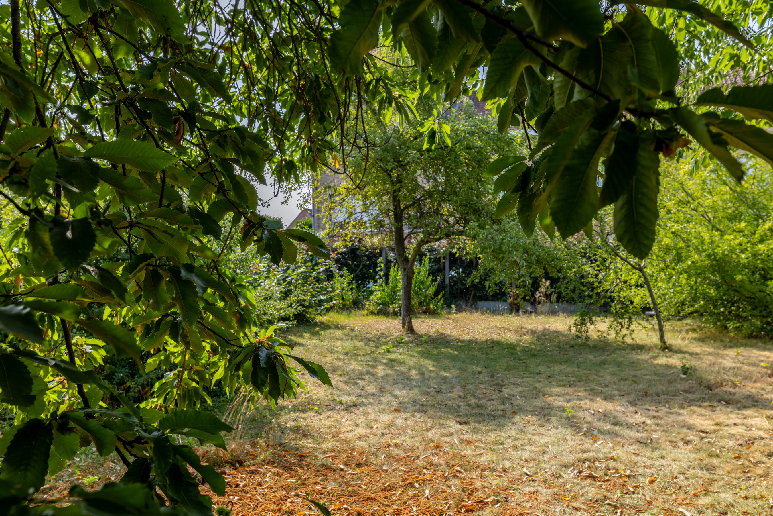 Léo image 3