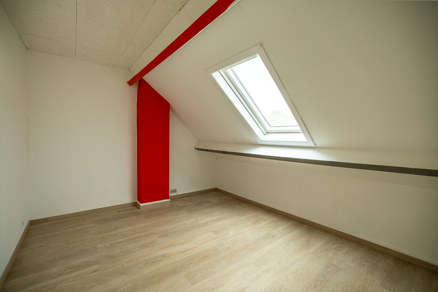 Félix image 13