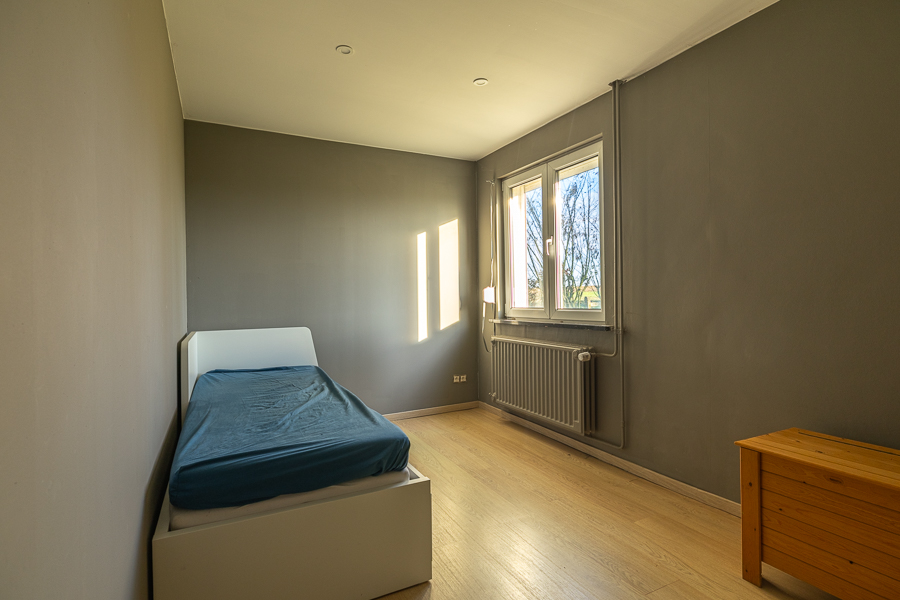 Colette image 9
