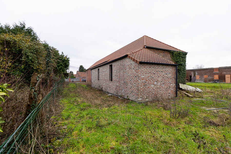 Manu  image 10