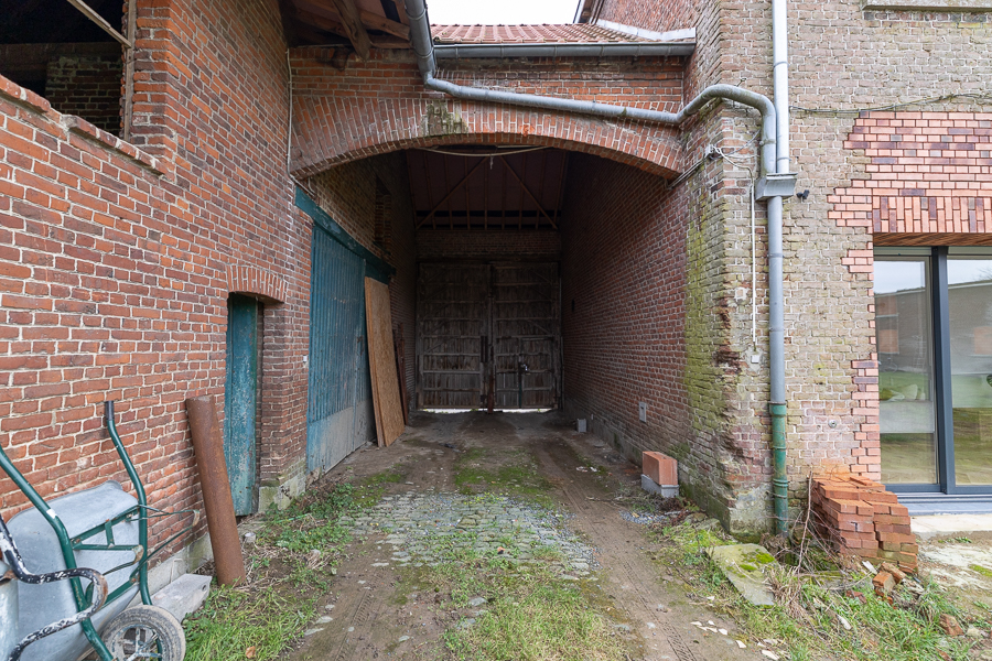 Manu  image 7