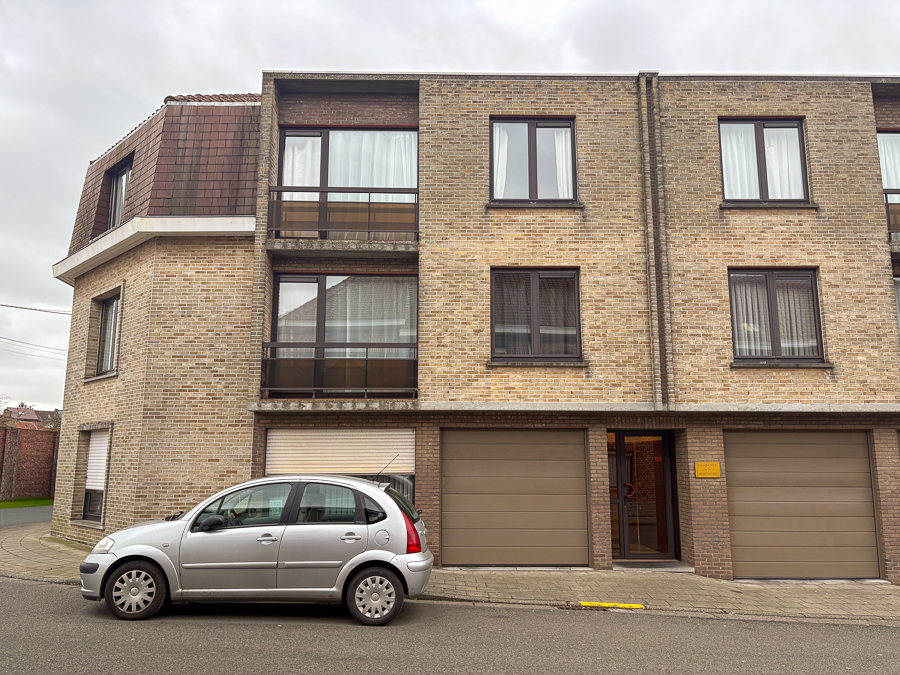 Mauricette-01 image 15