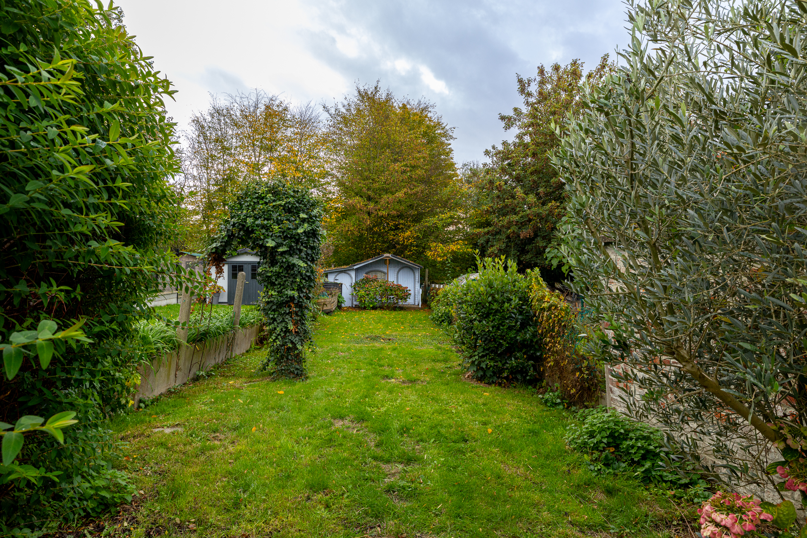 Eliot image 15