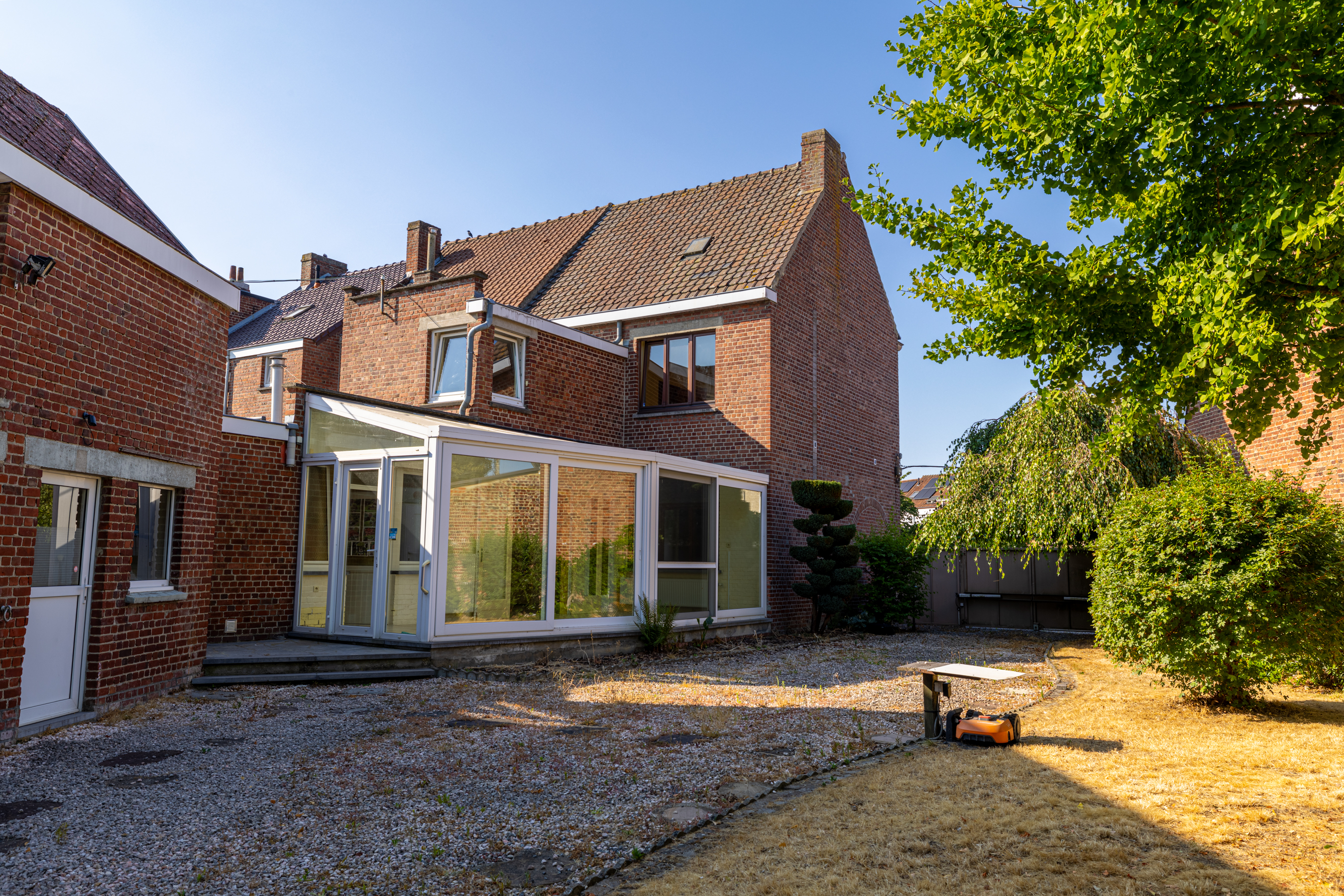 Pimprenelle image 18