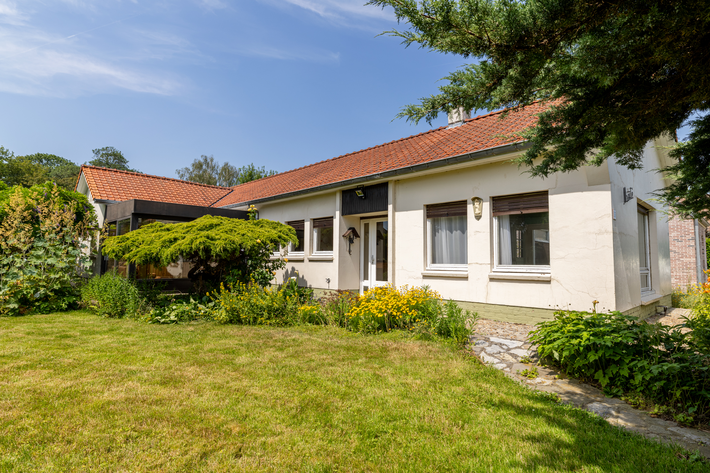 Maïté image 1