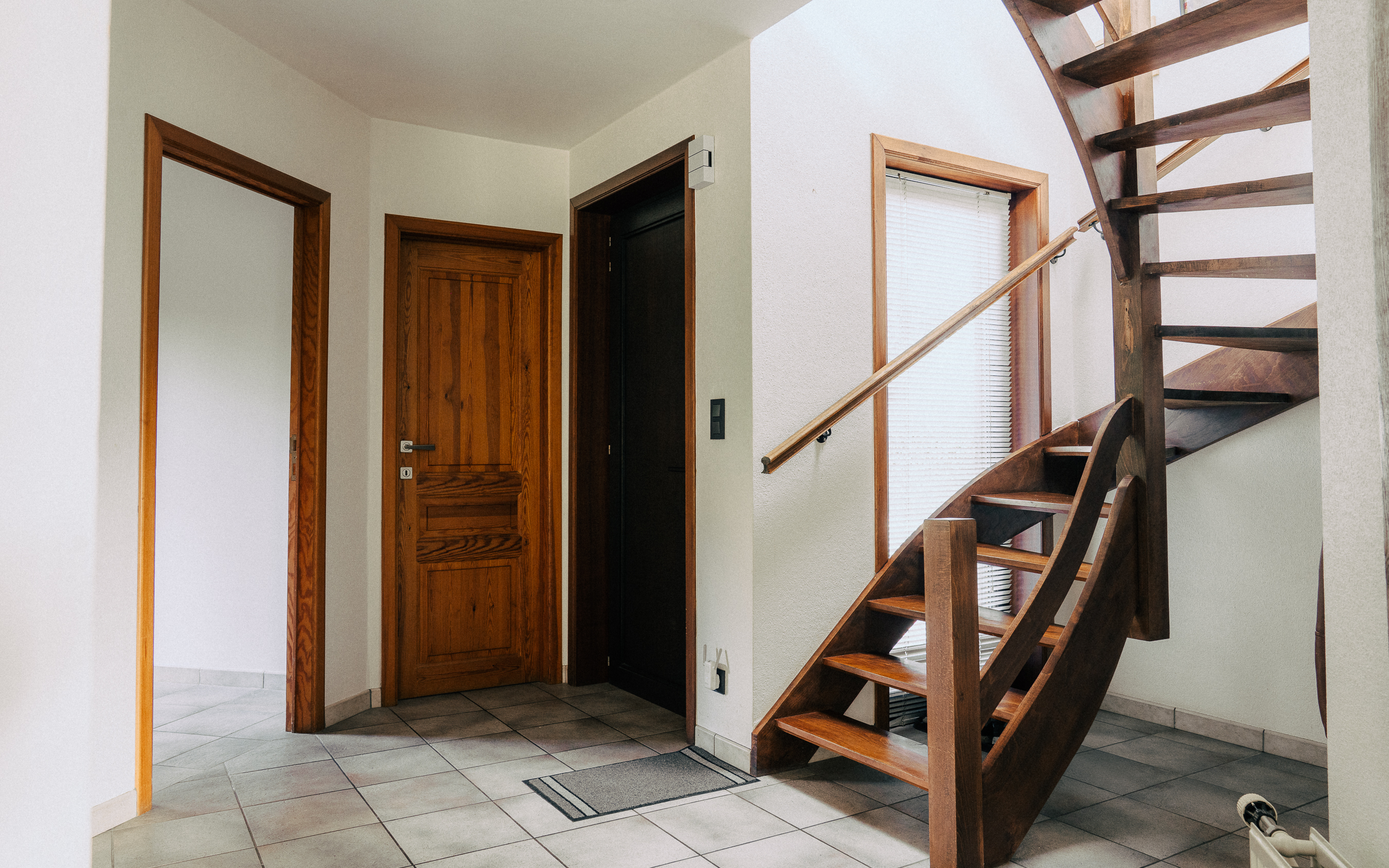 Aelia image 11