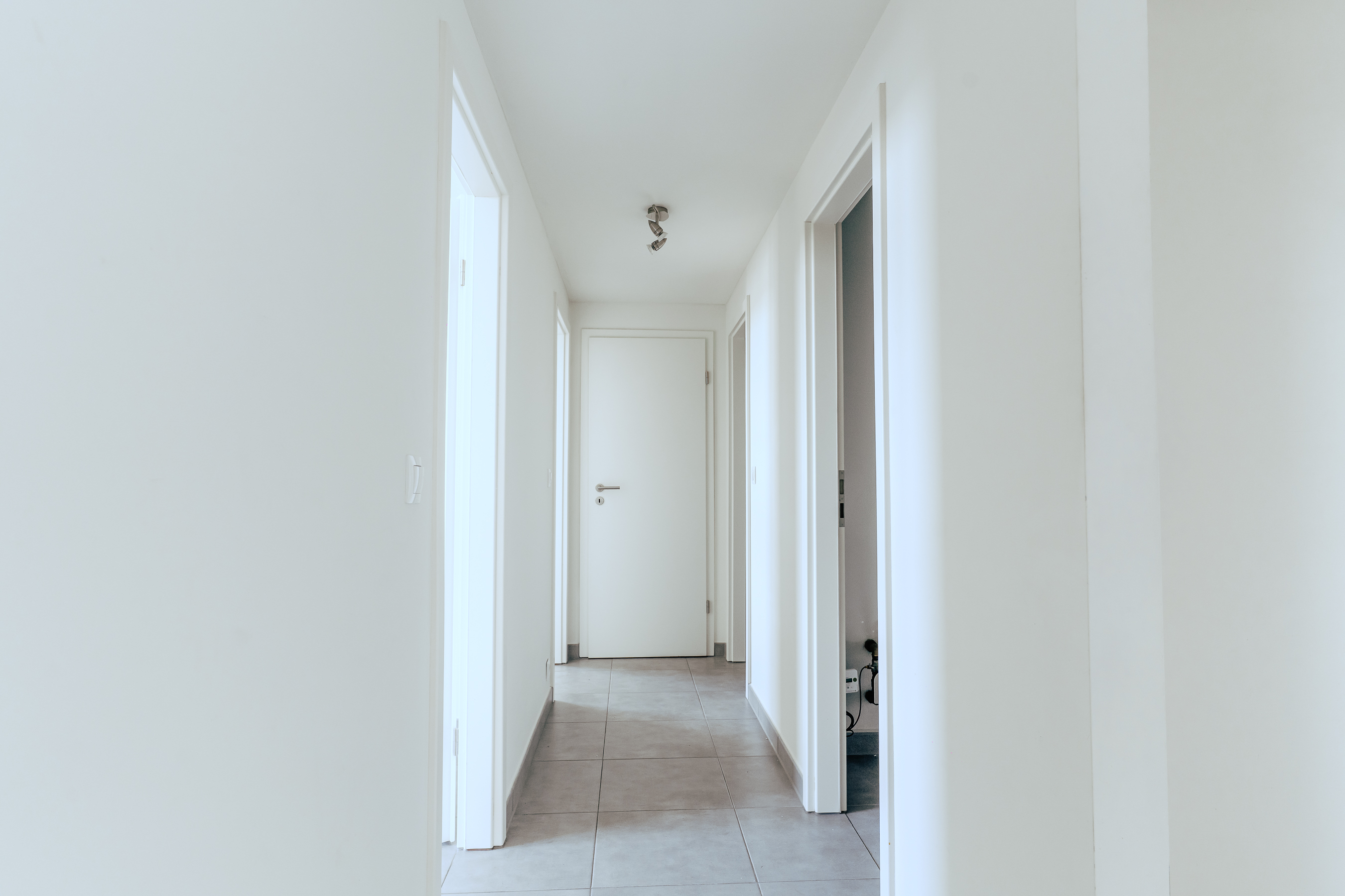 Max image 5