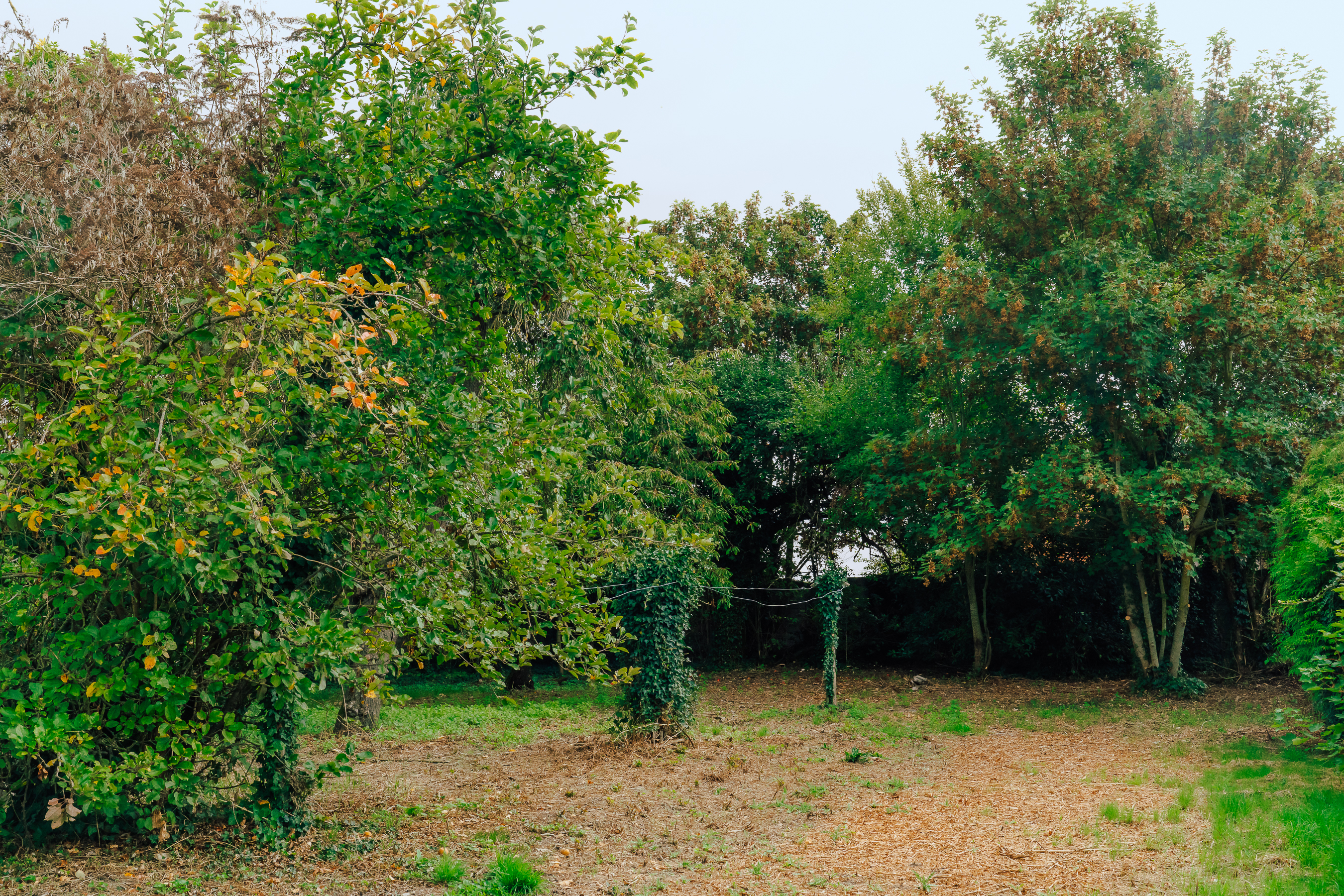 Camille image 16