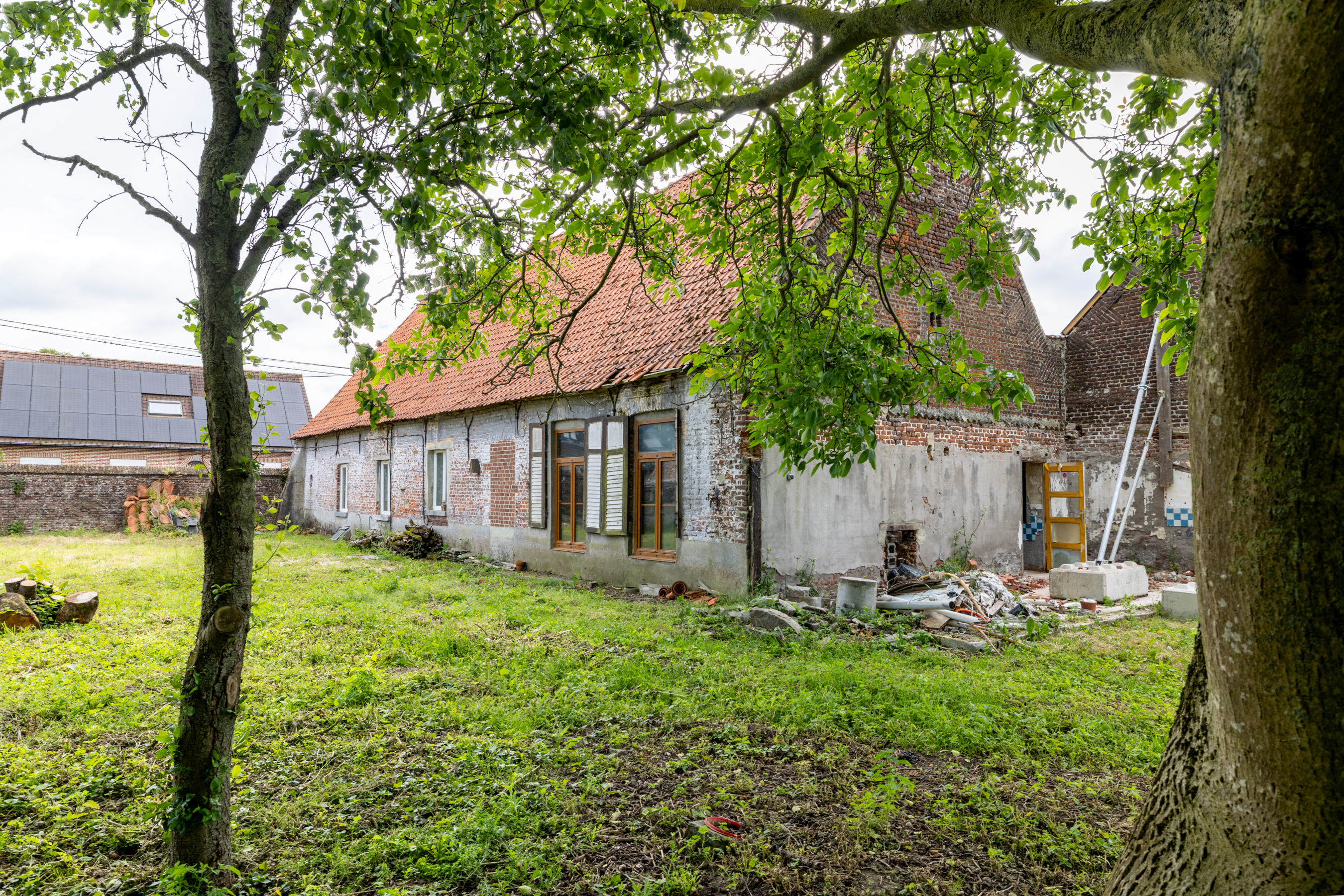 Marianne image 9