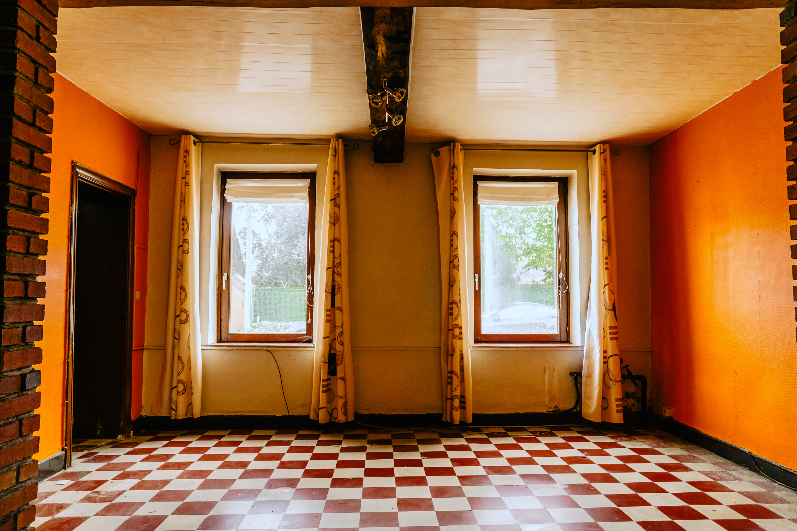 Patricia image 3
