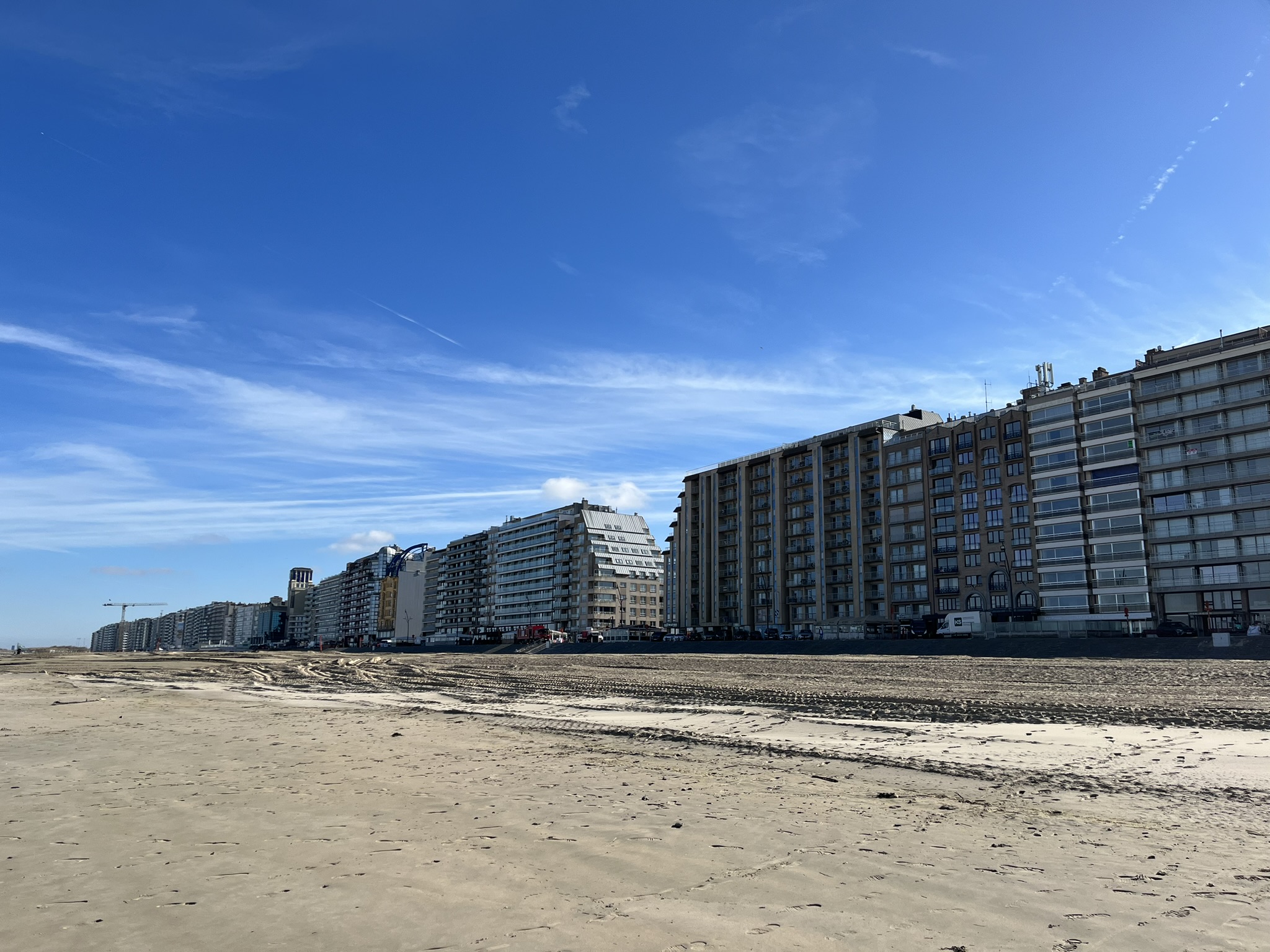 Magellan image 16