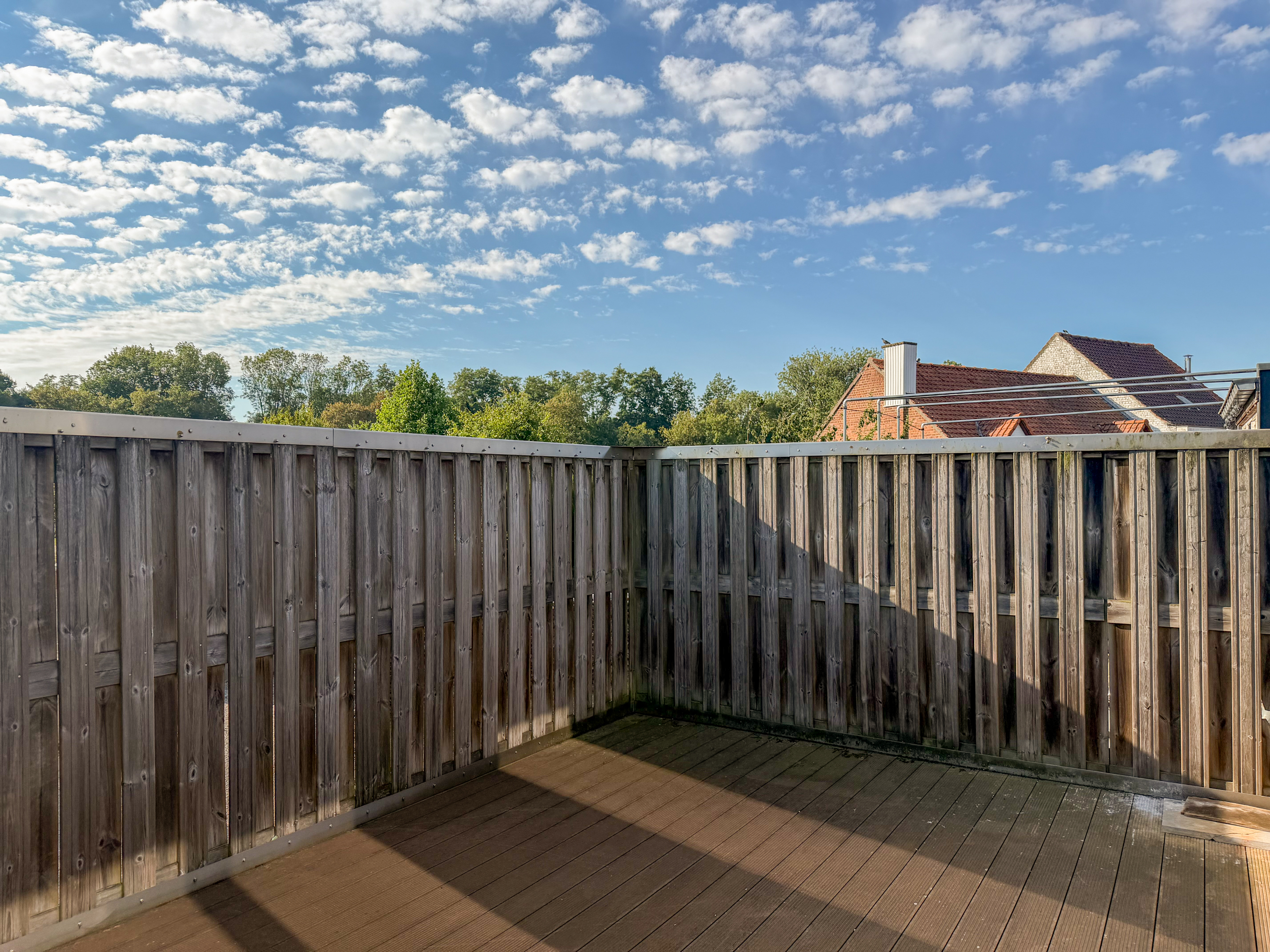 Paddy-01 image 12