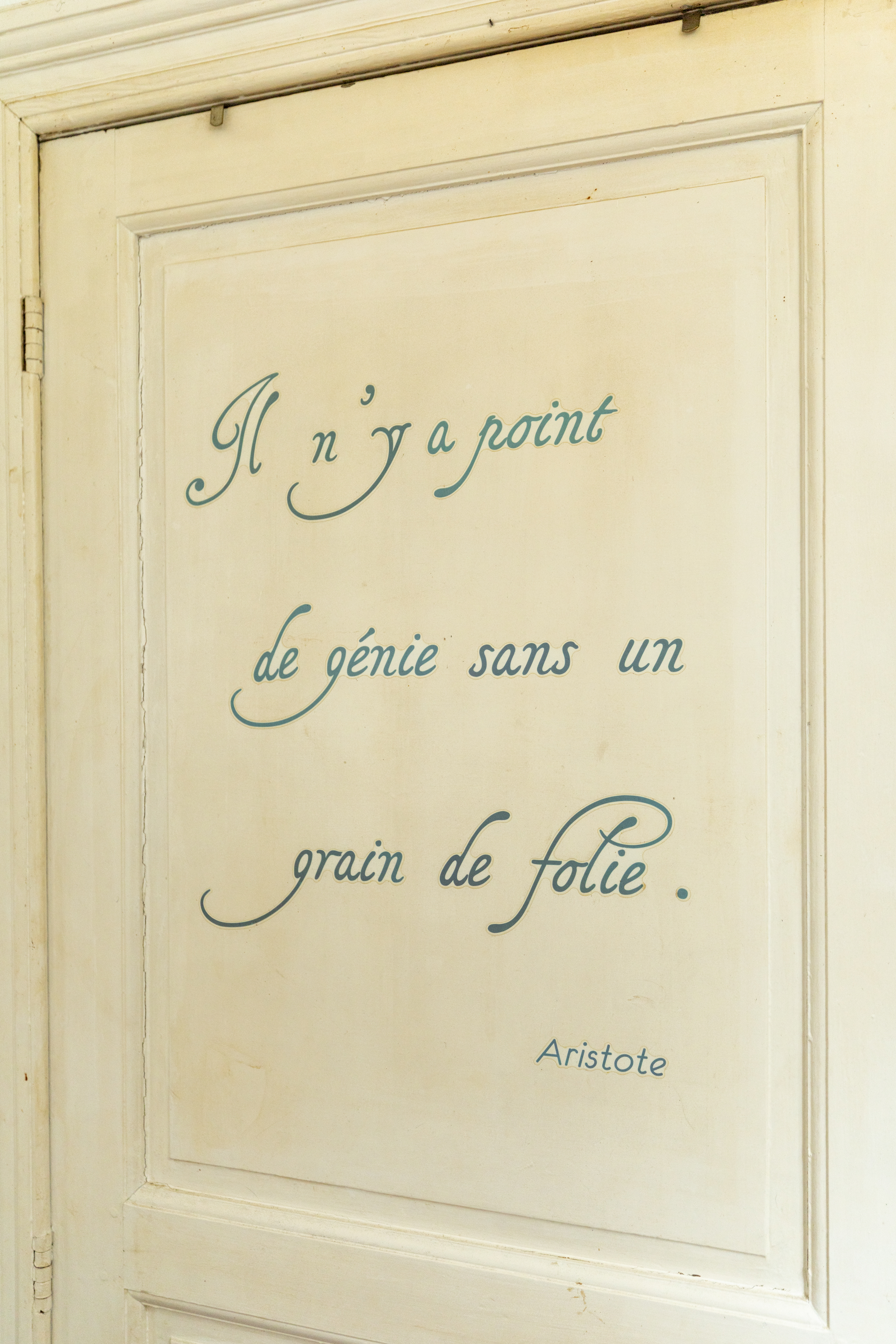 Canelle image 10