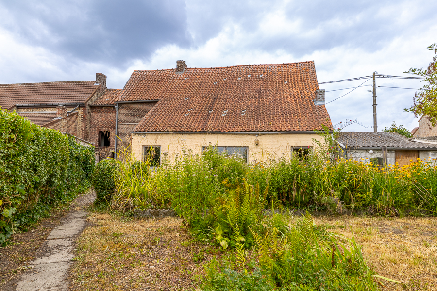 Nelly image 16
