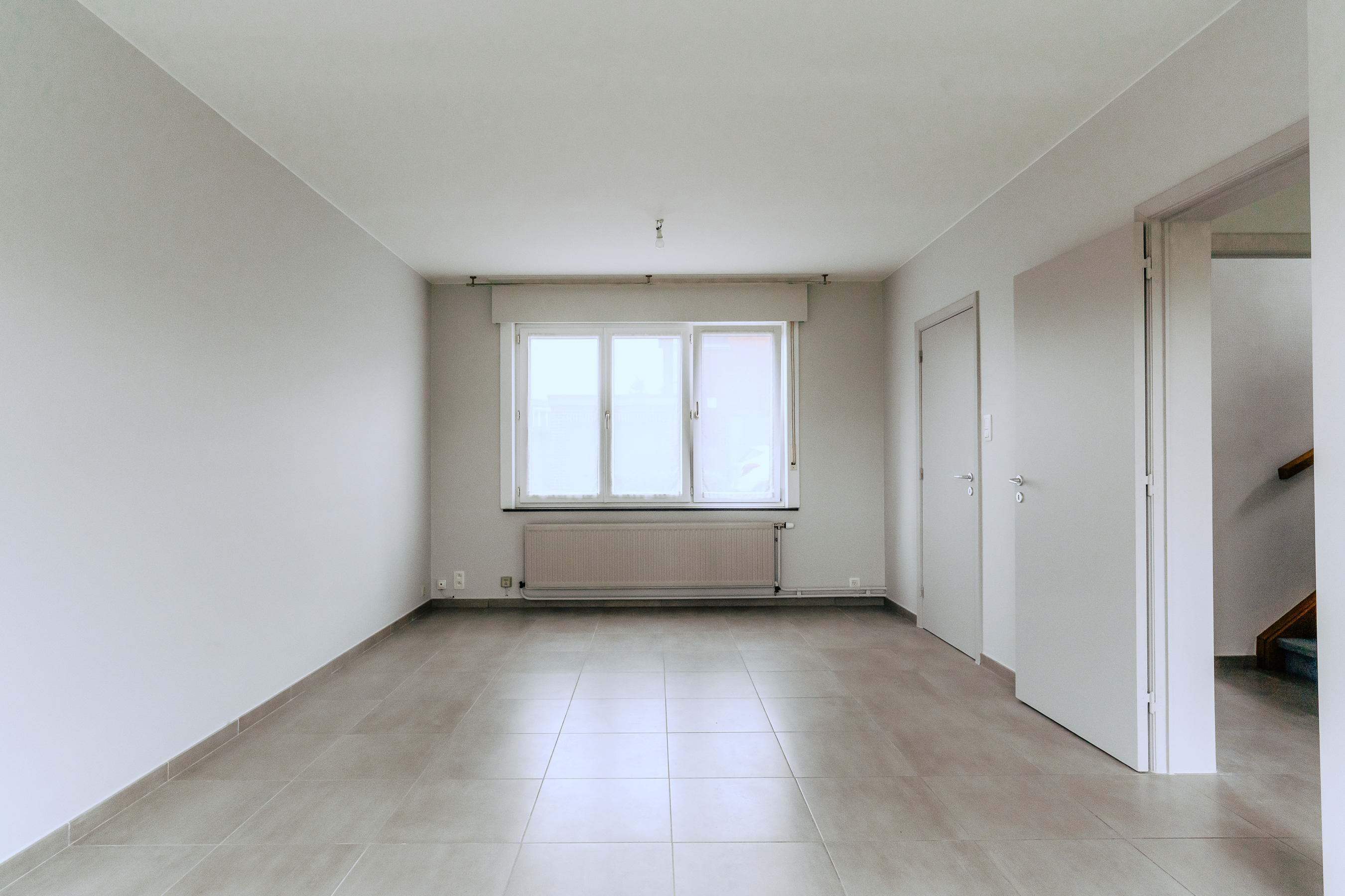 Ginette image 4