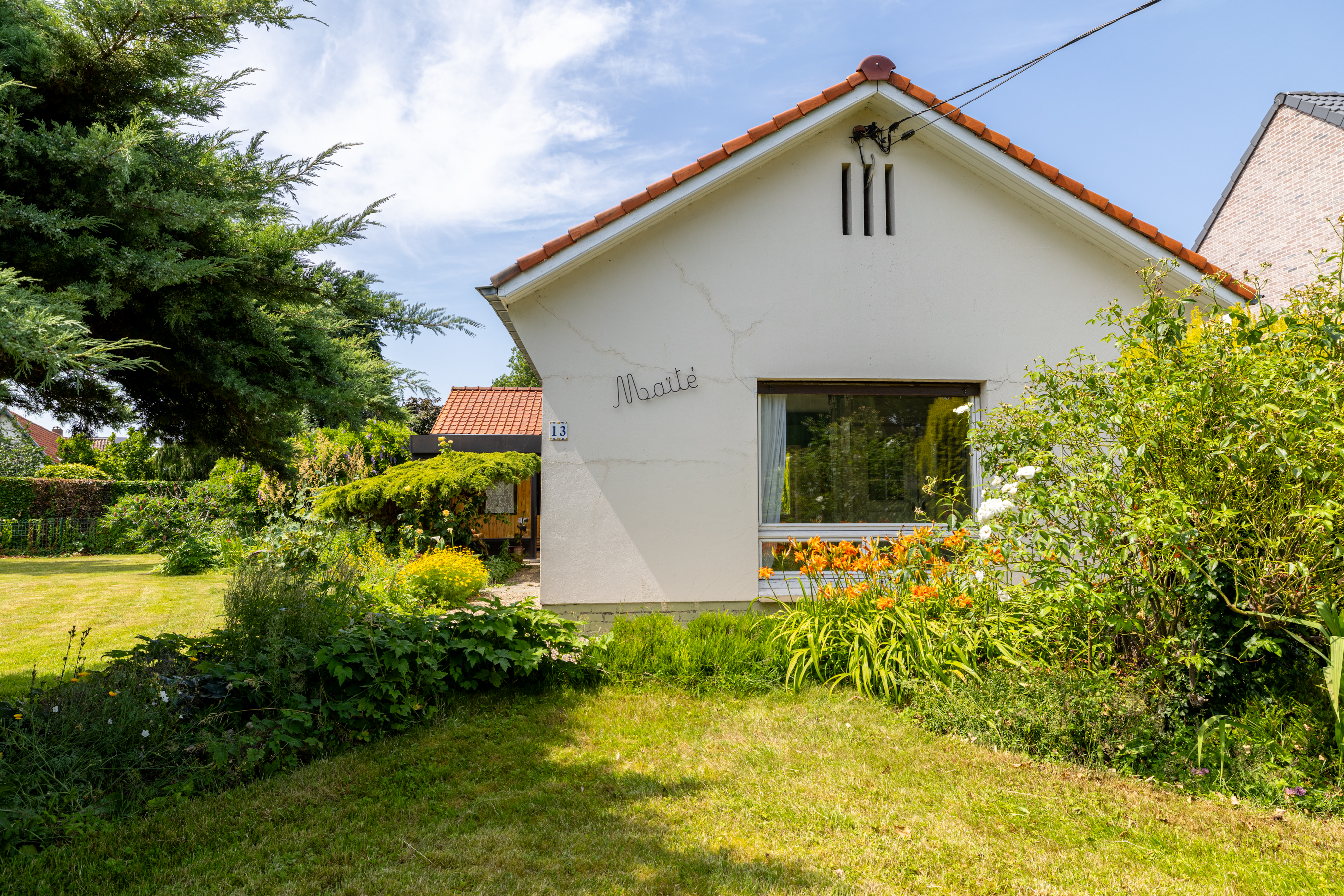 Maïté image 3