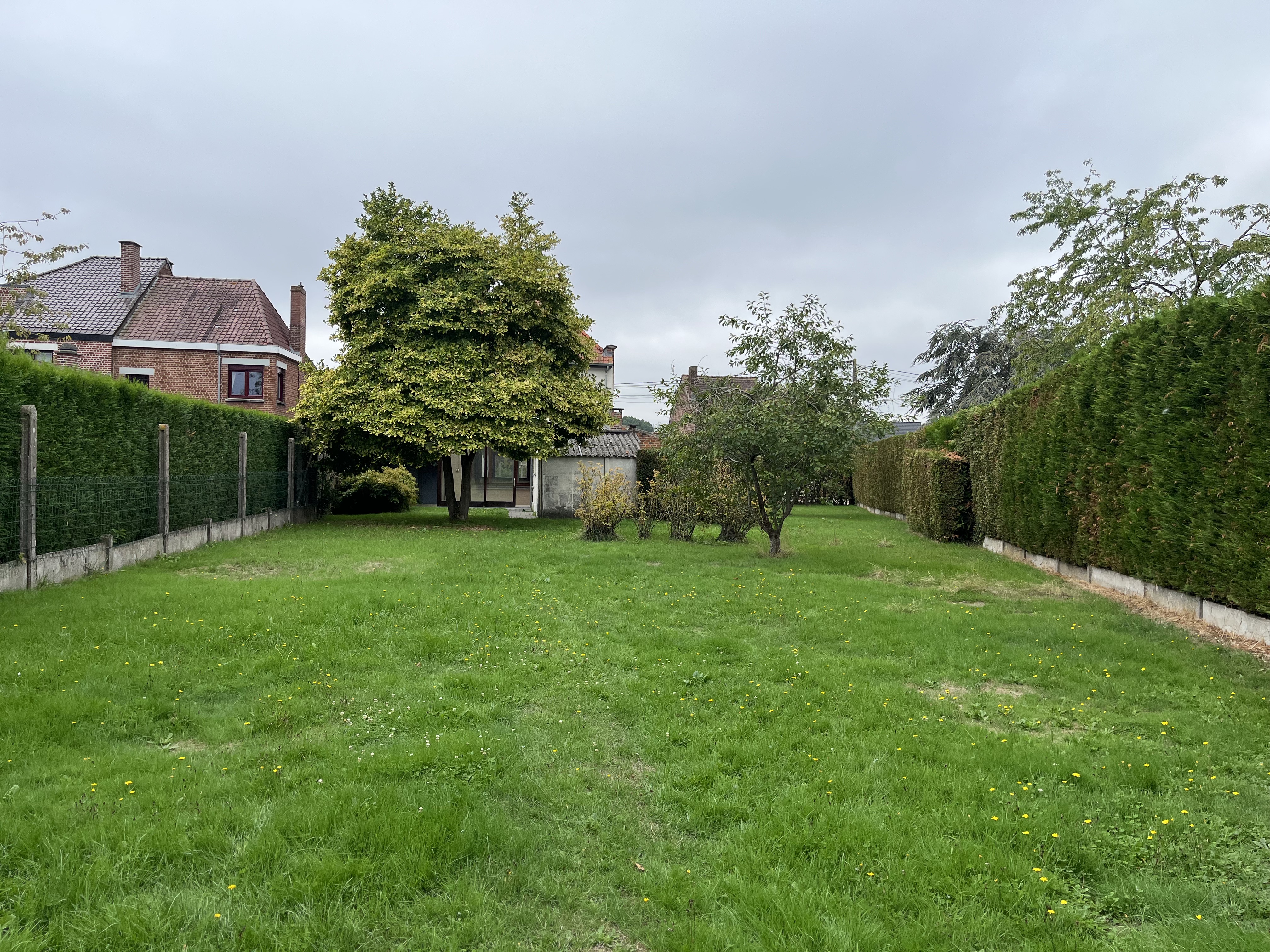 Anne-B01 image 9