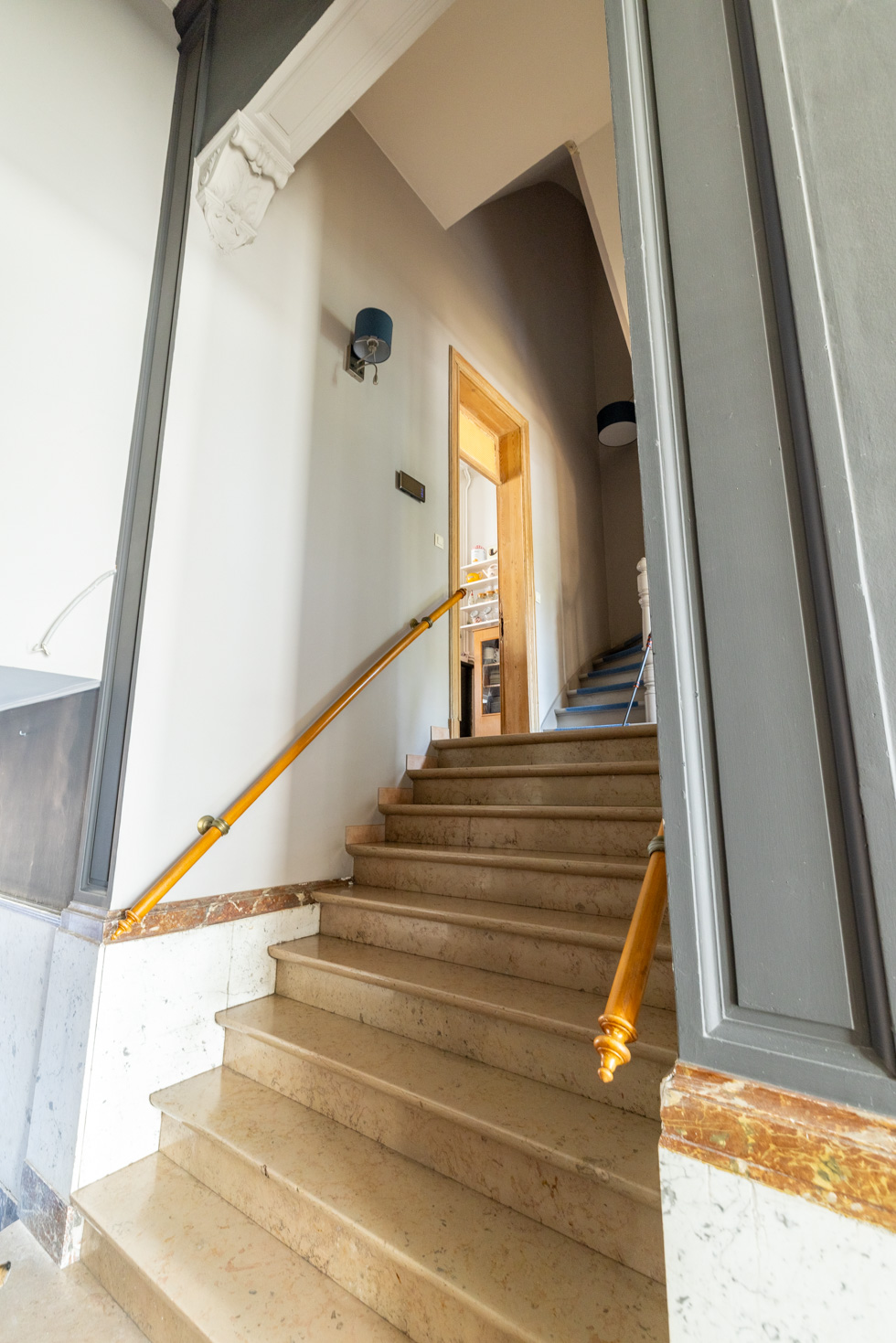 Capucine image 3