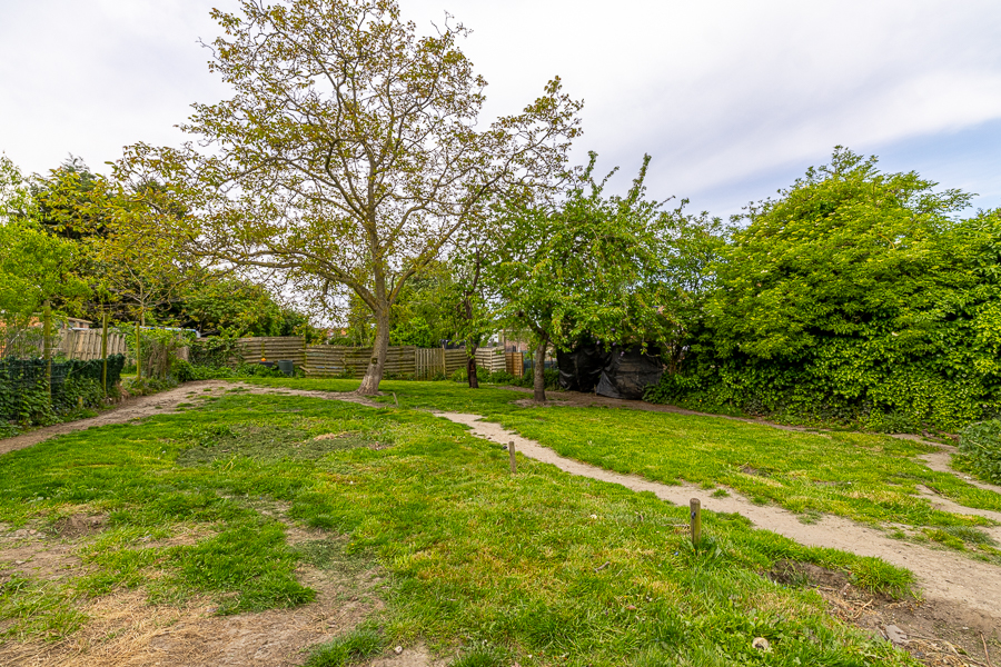 Capucine image 12