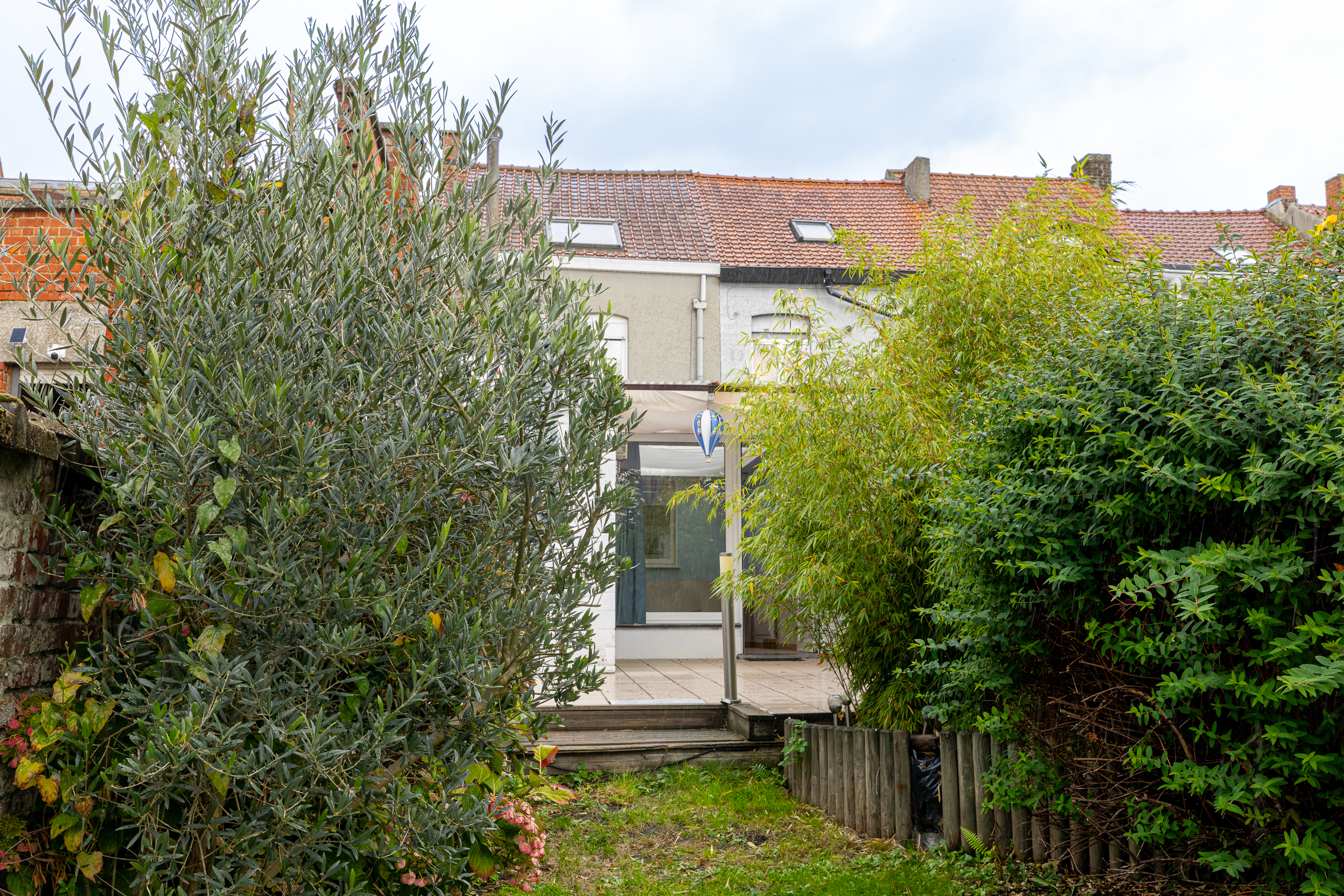 Eliot image 16