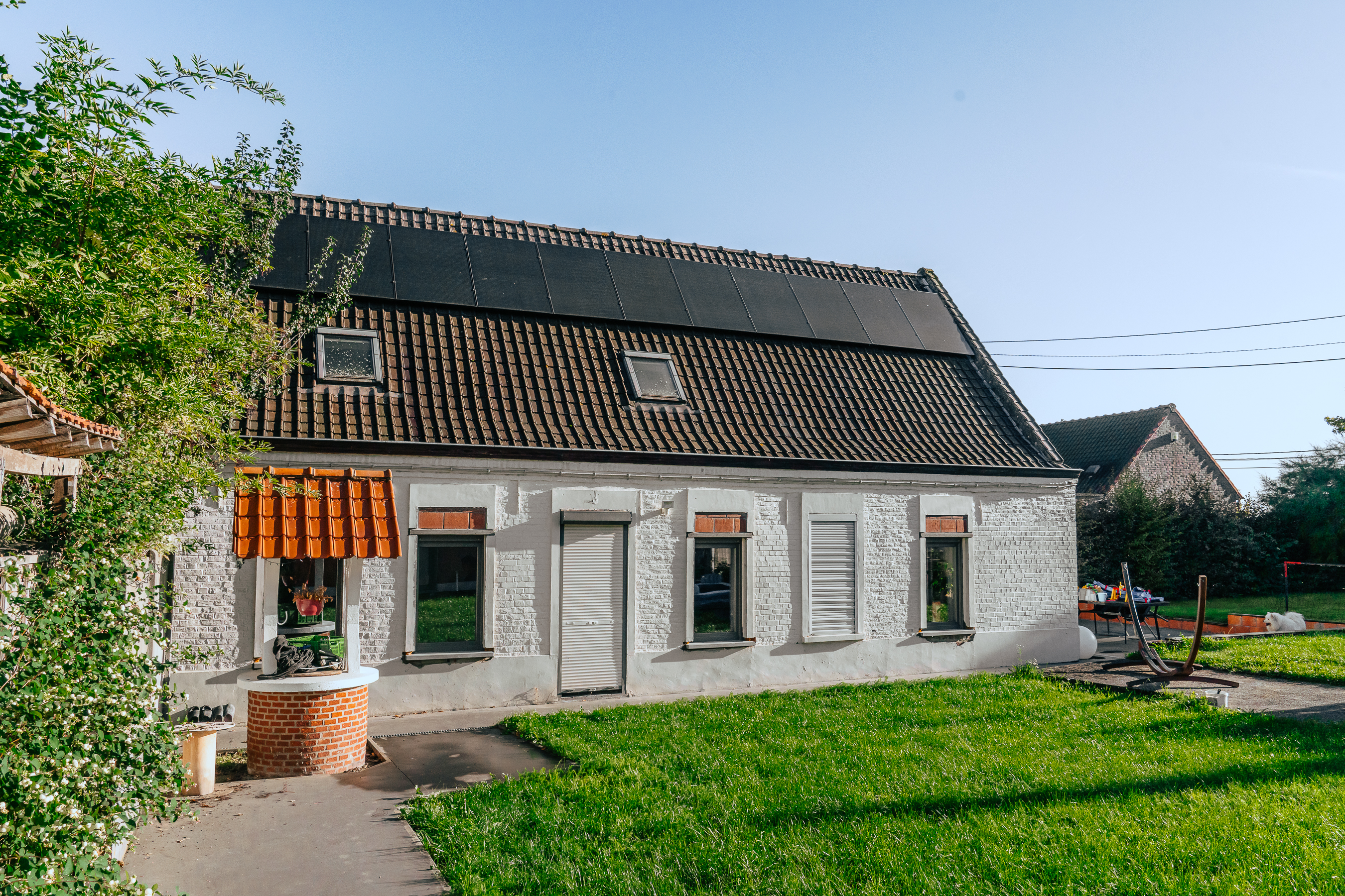Lineka image 4