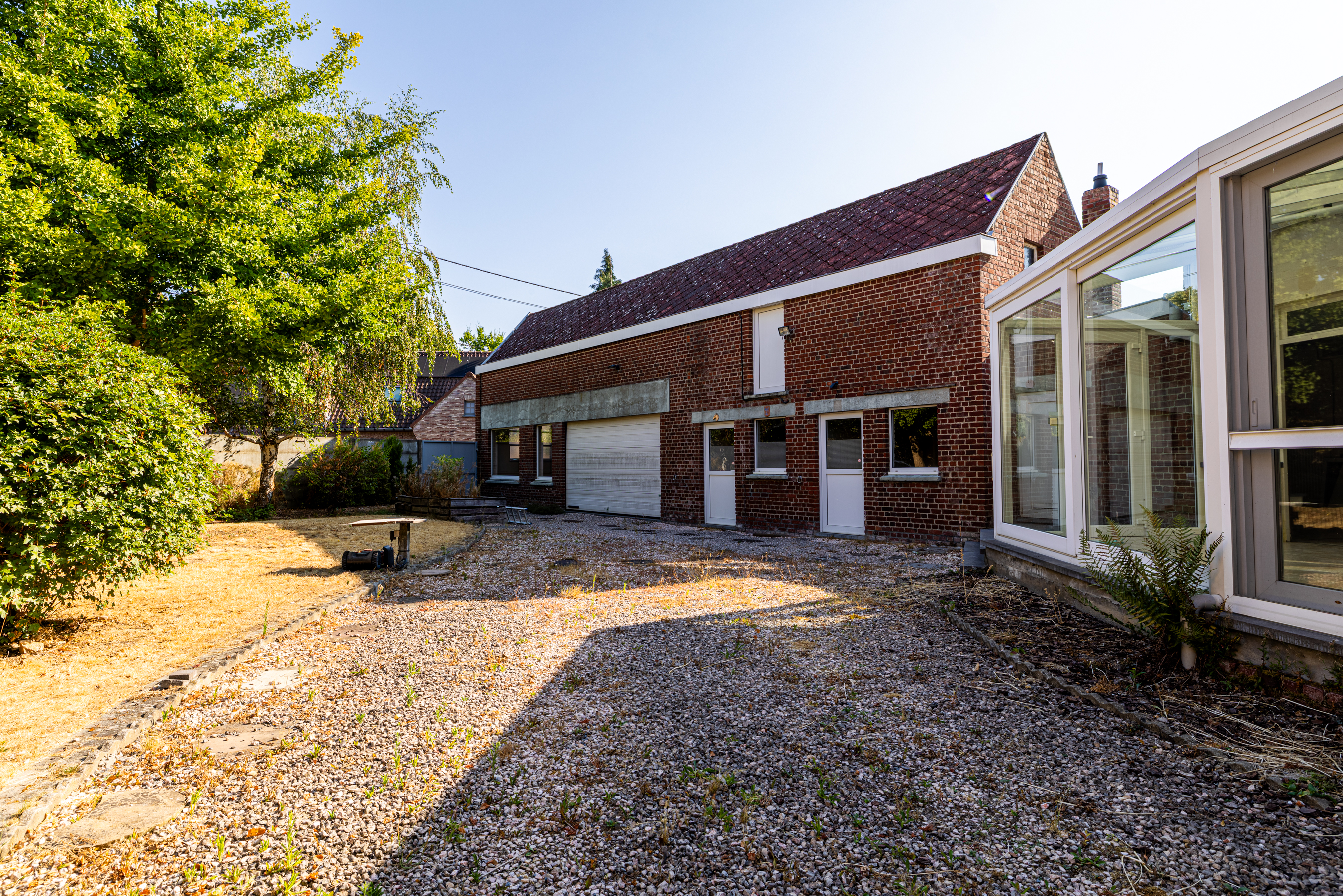 Pimprenelle image 16
