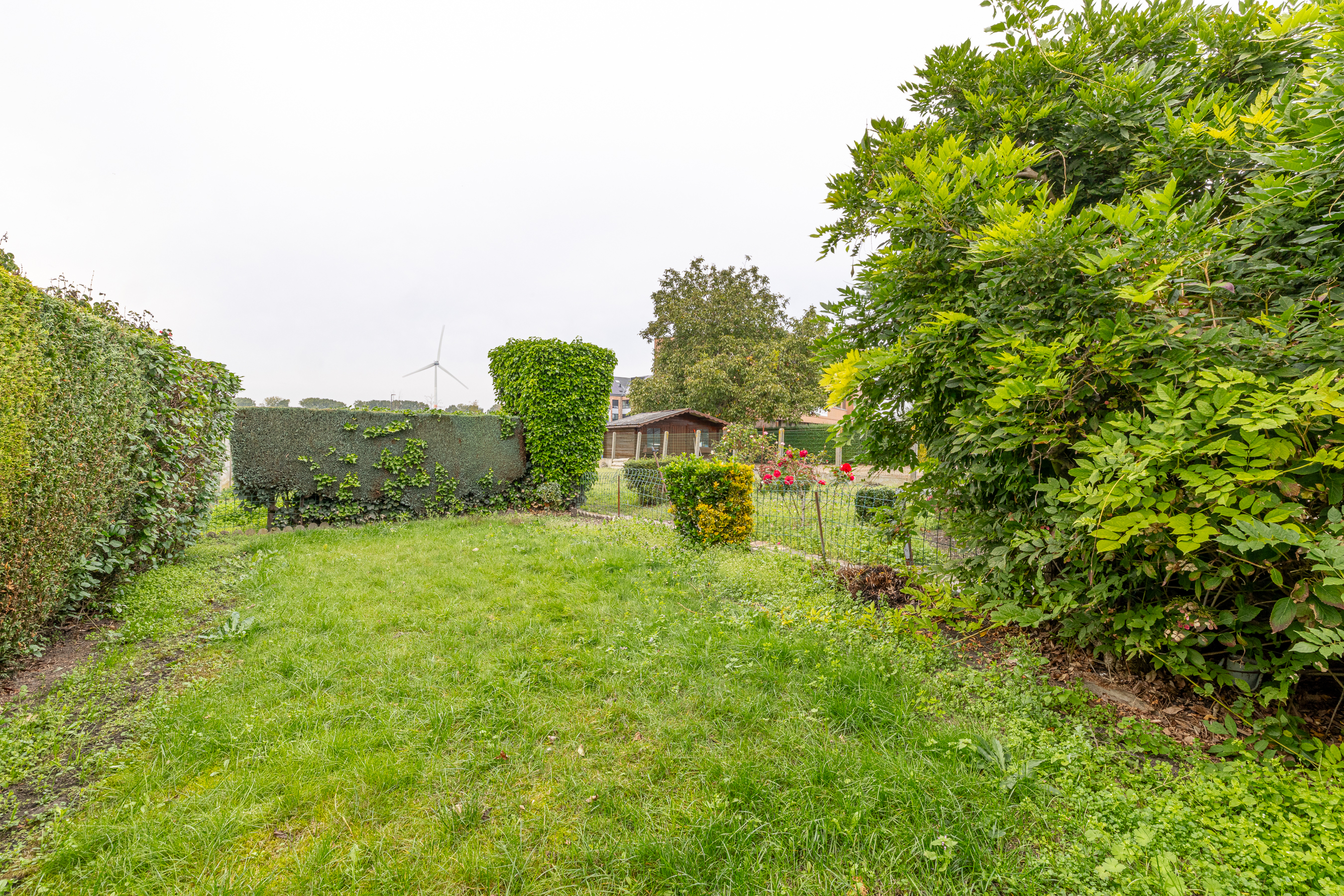 Marie-Louise image 15