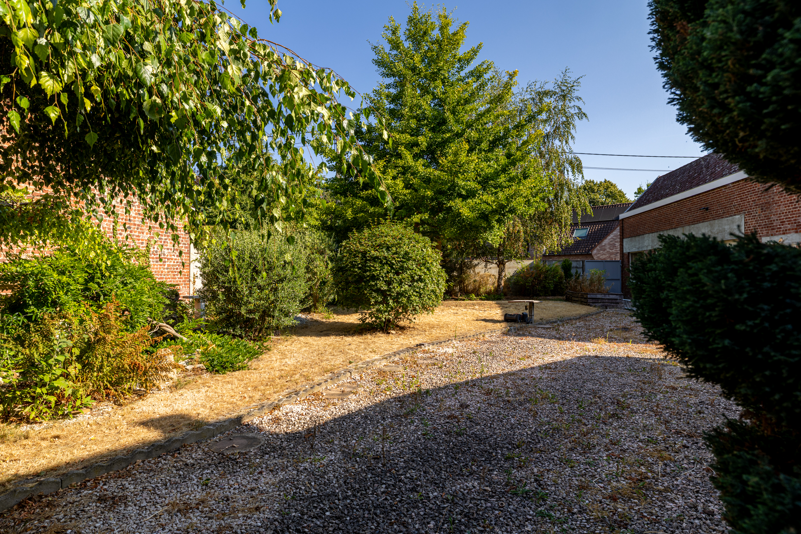 Pimprenelle image 17
