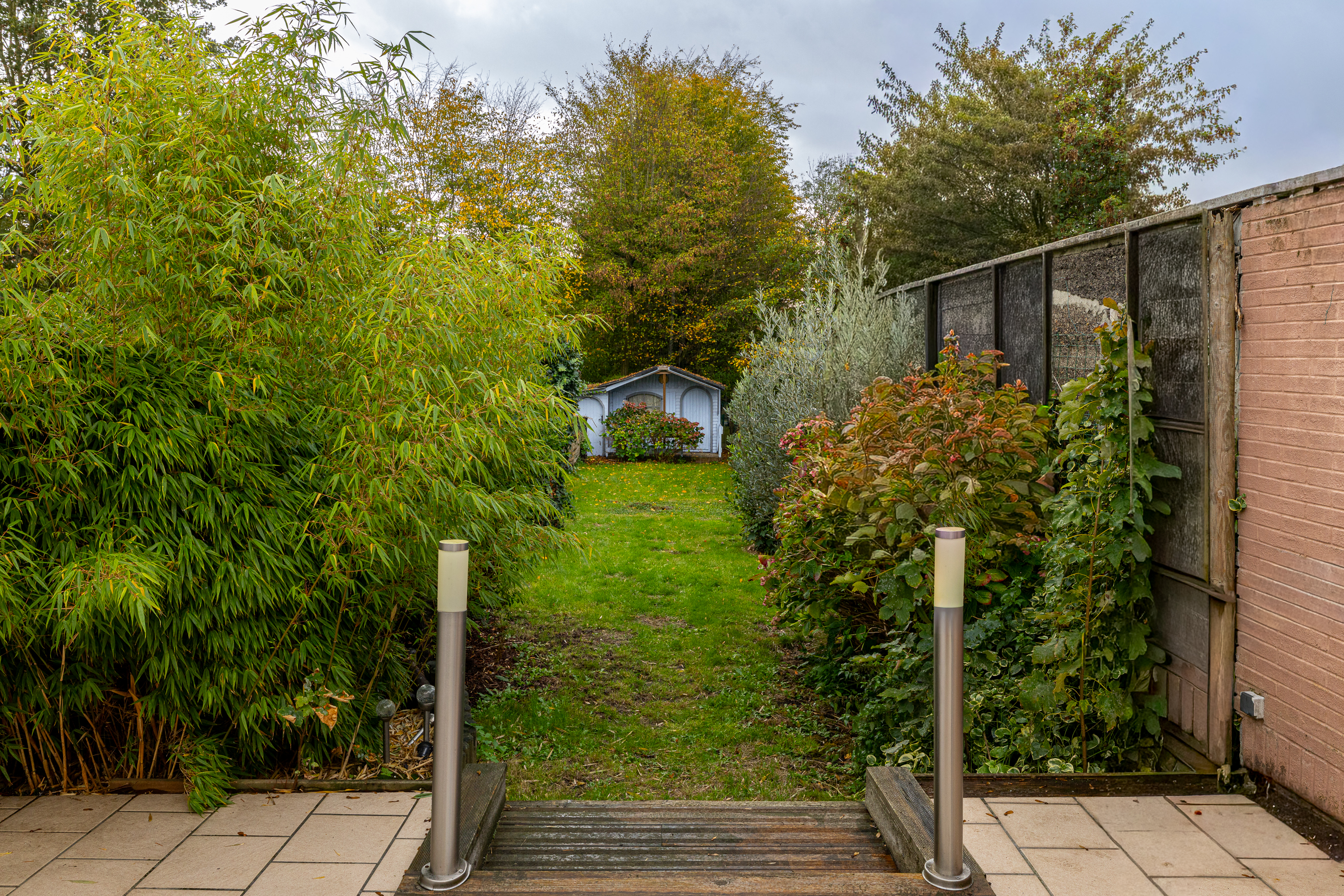 Eliot image 14