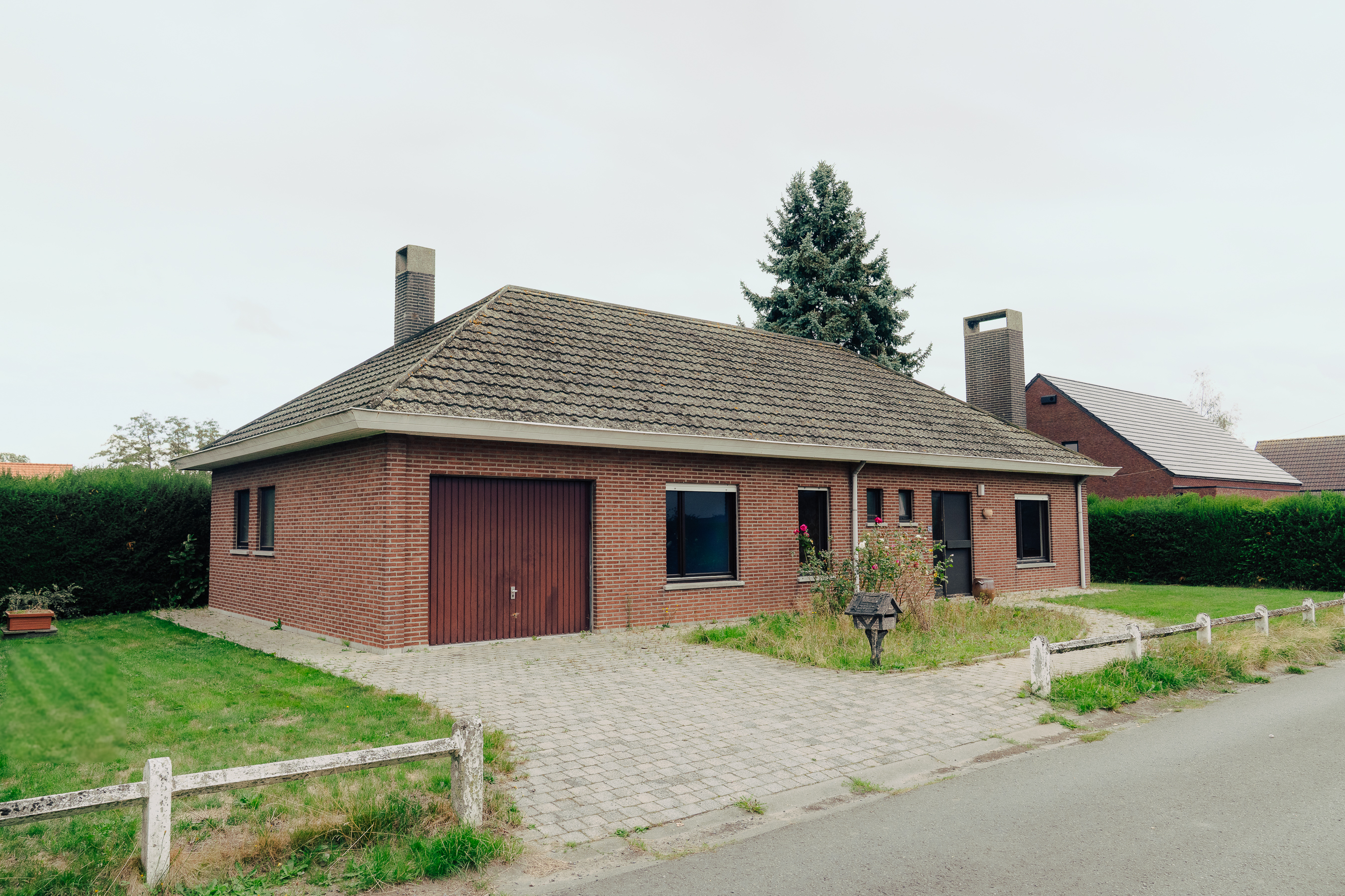 Carinne image 1