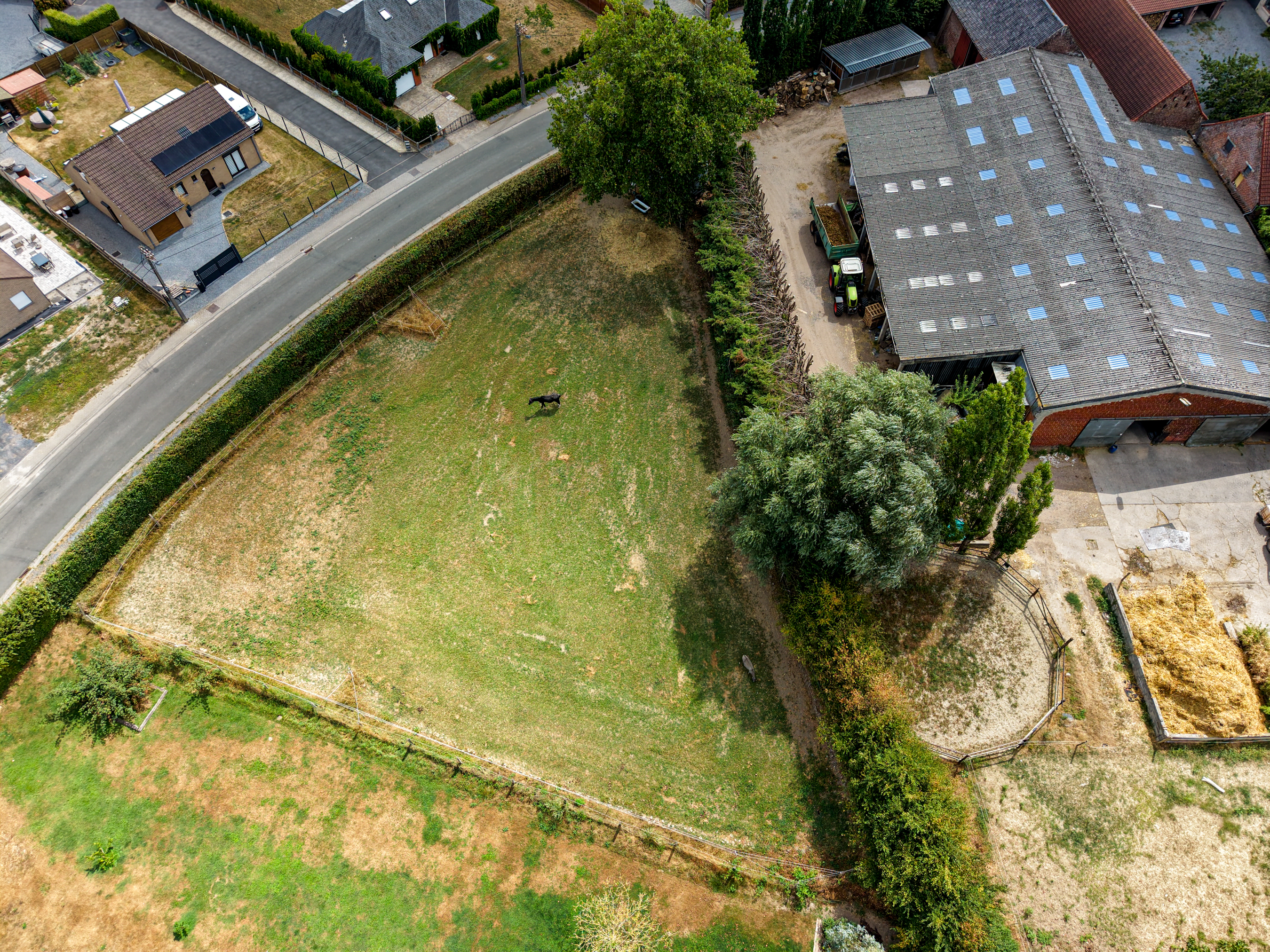Blaise image 6