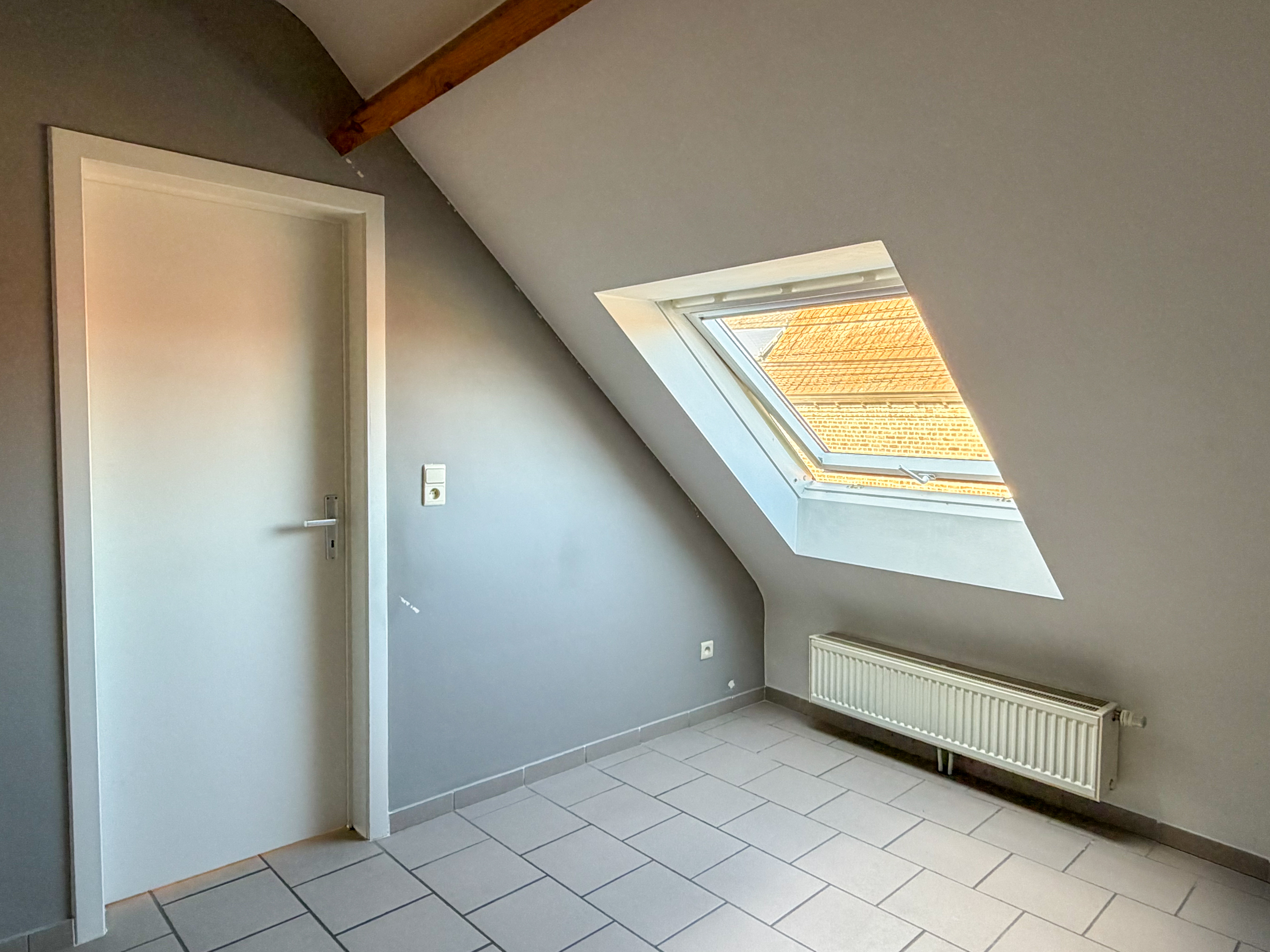 Paddy-01 image 8