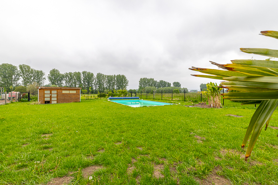 Lila image 11