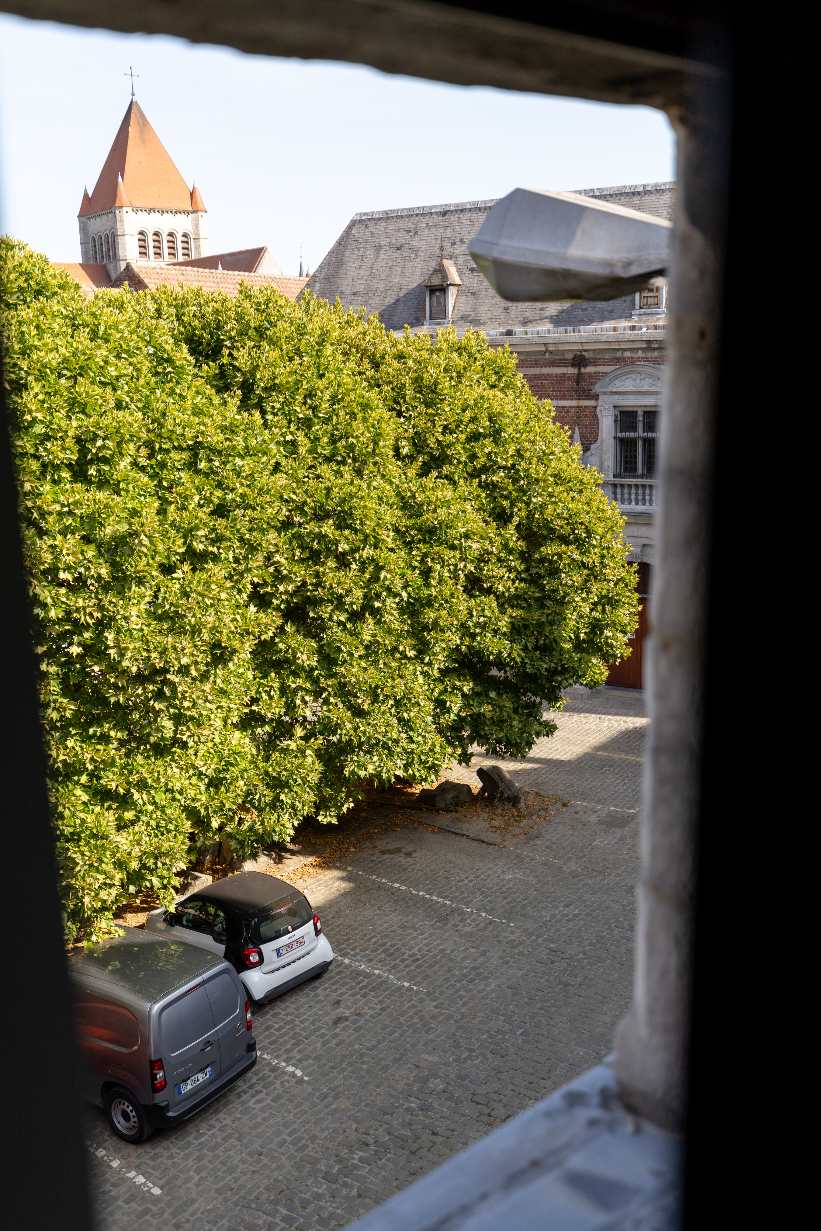 Charlotte image 14
