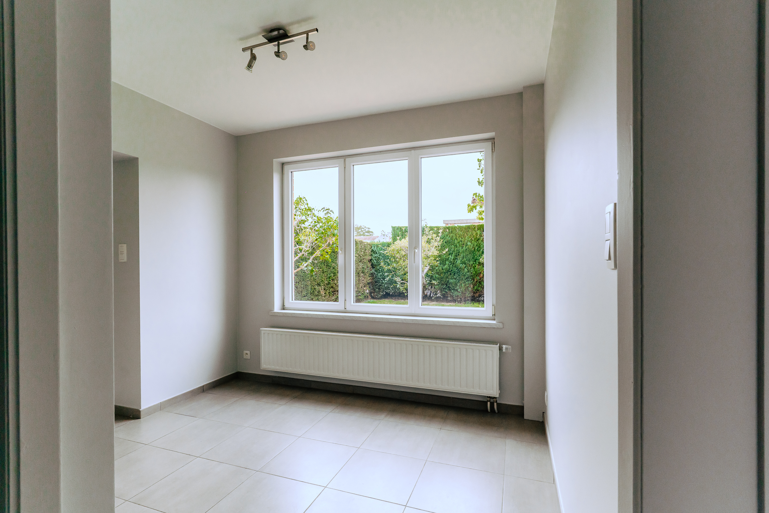 Ginette image 12