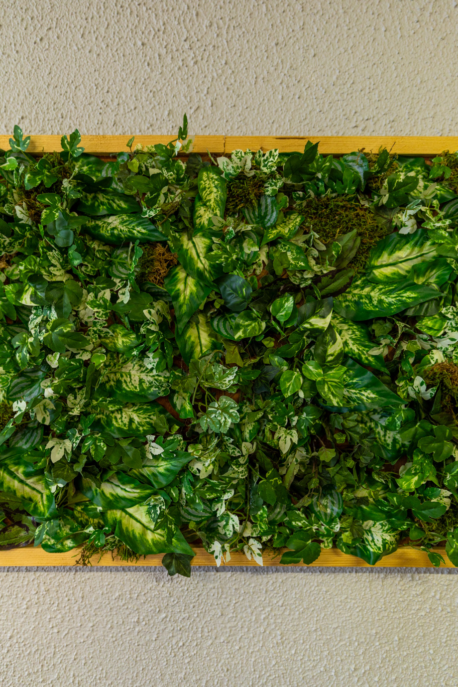 Jean-Jacques image 5