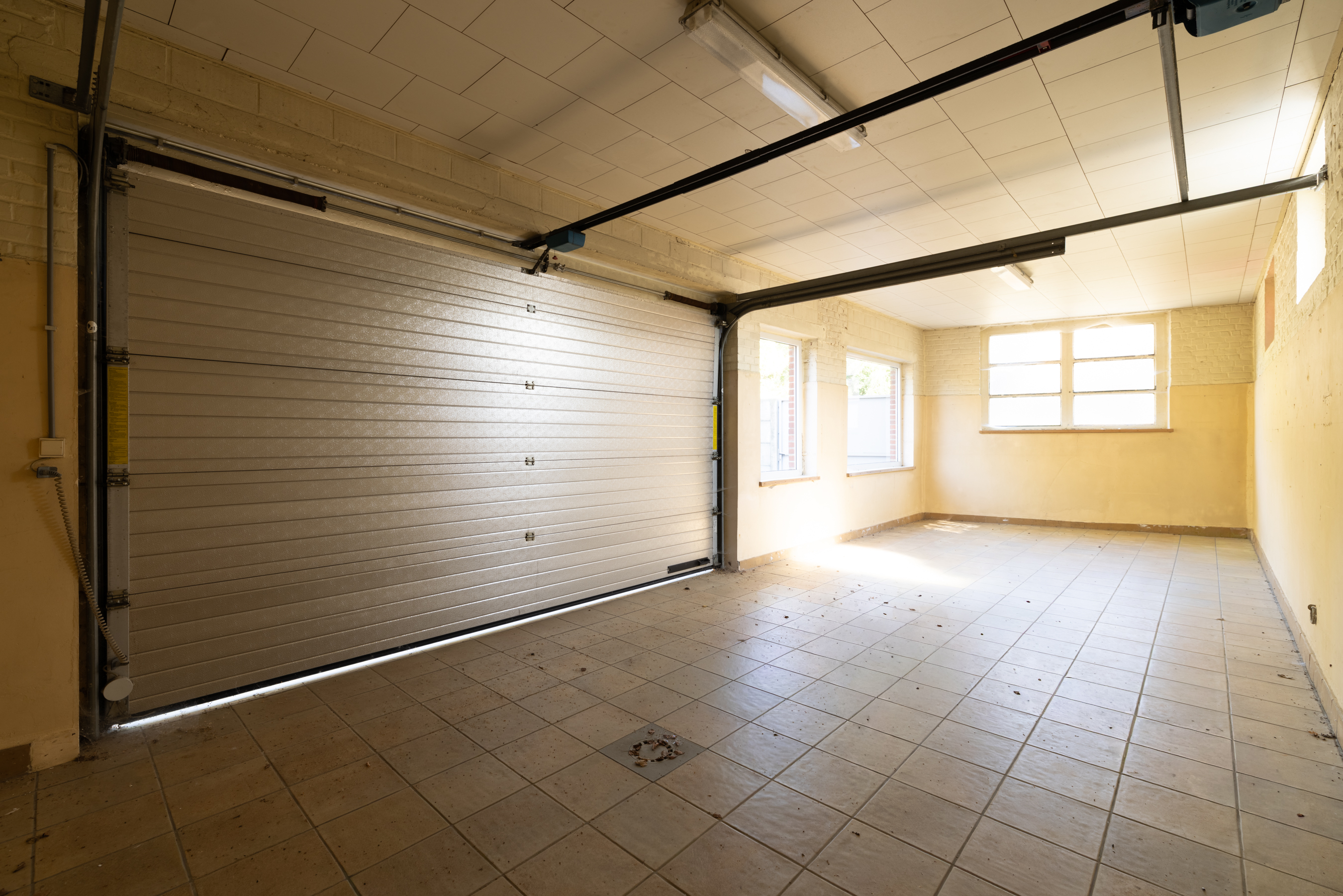 Pimprenelle image 15