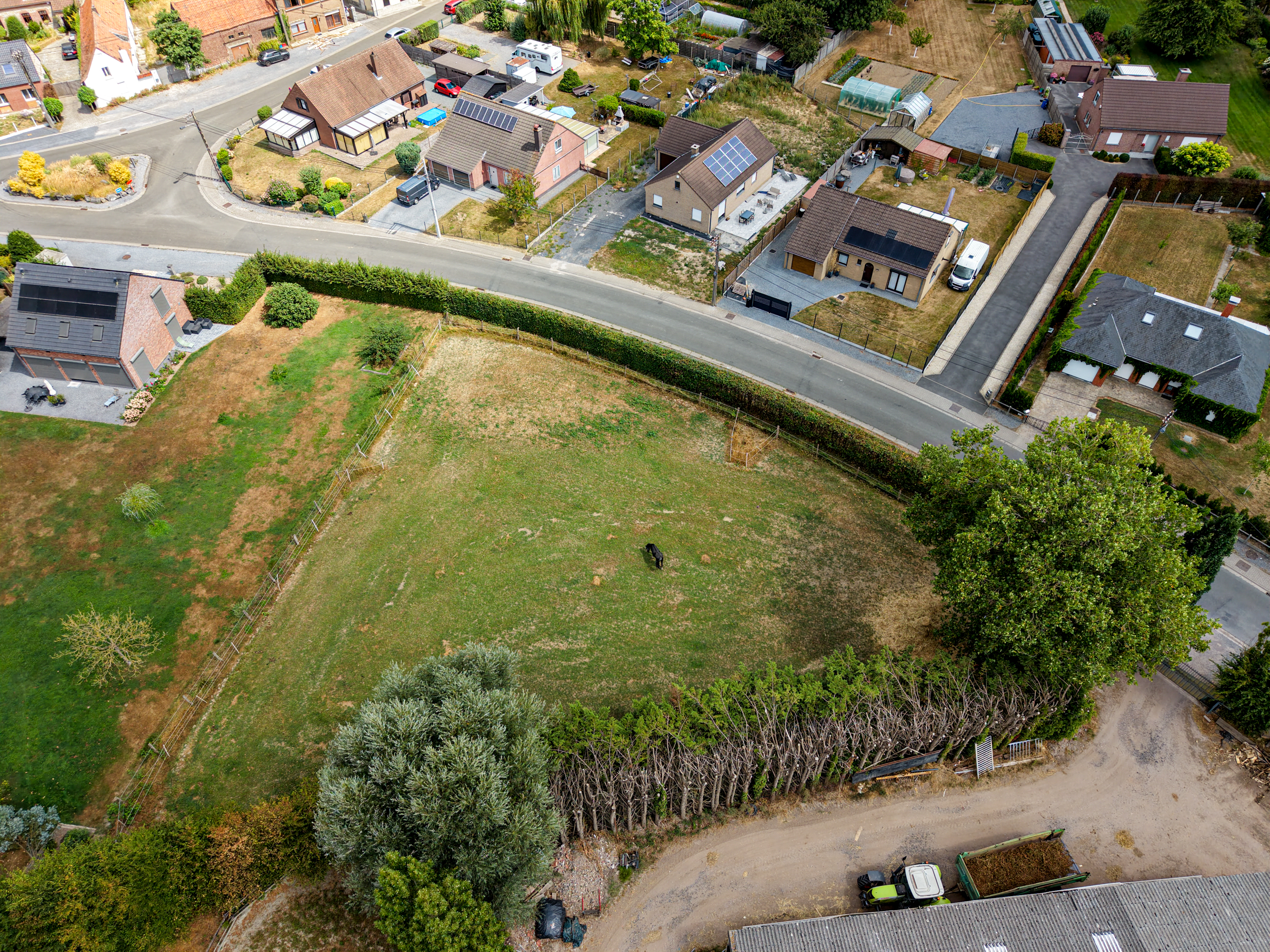 Boris image 5