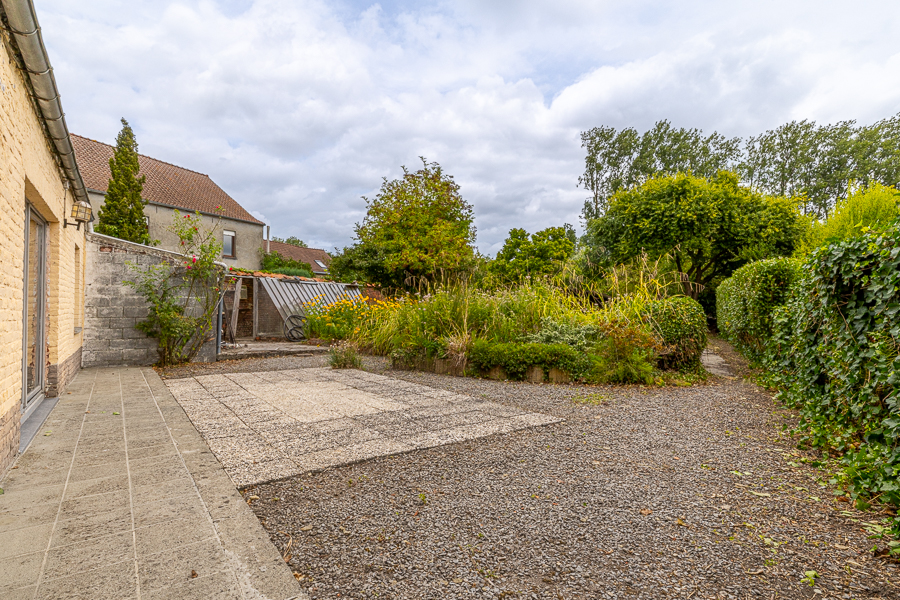 Nelly image 15