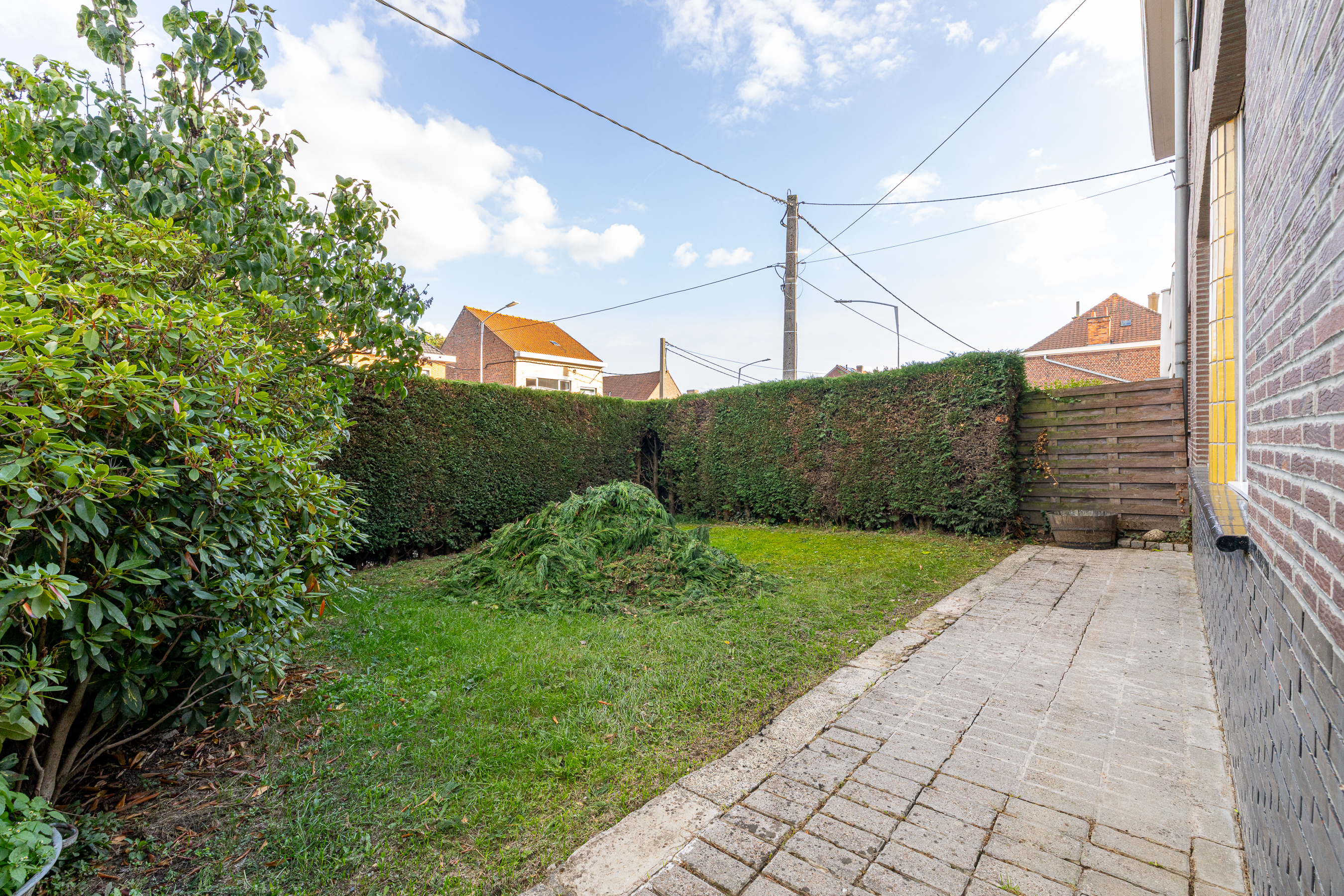 Léon image 14