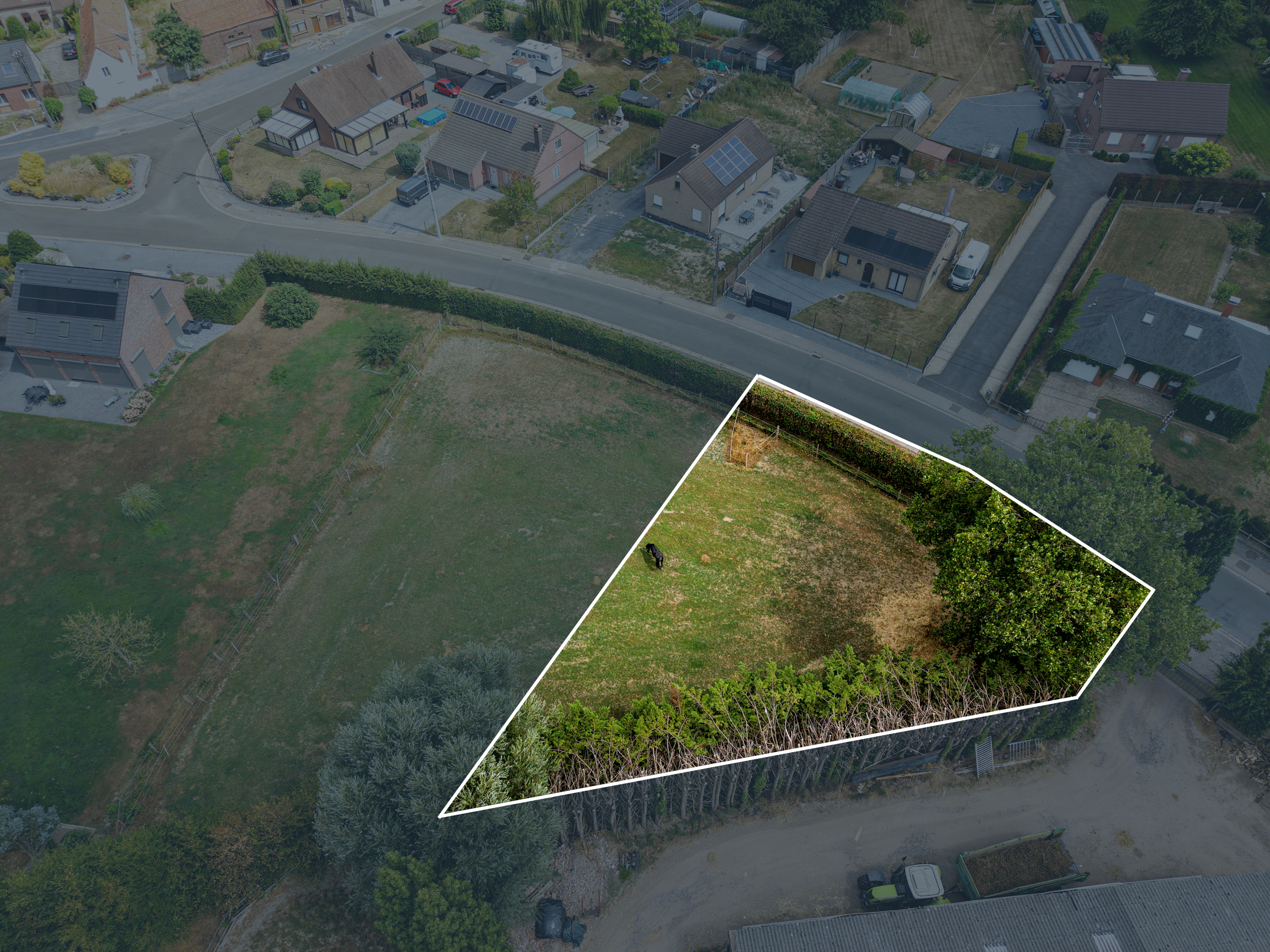 Blaise image 5