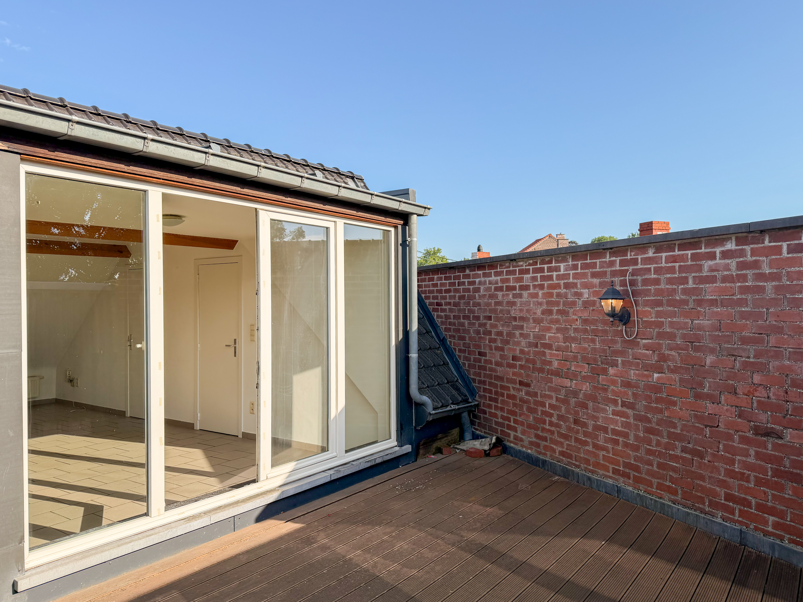 Paddy-01 image 11