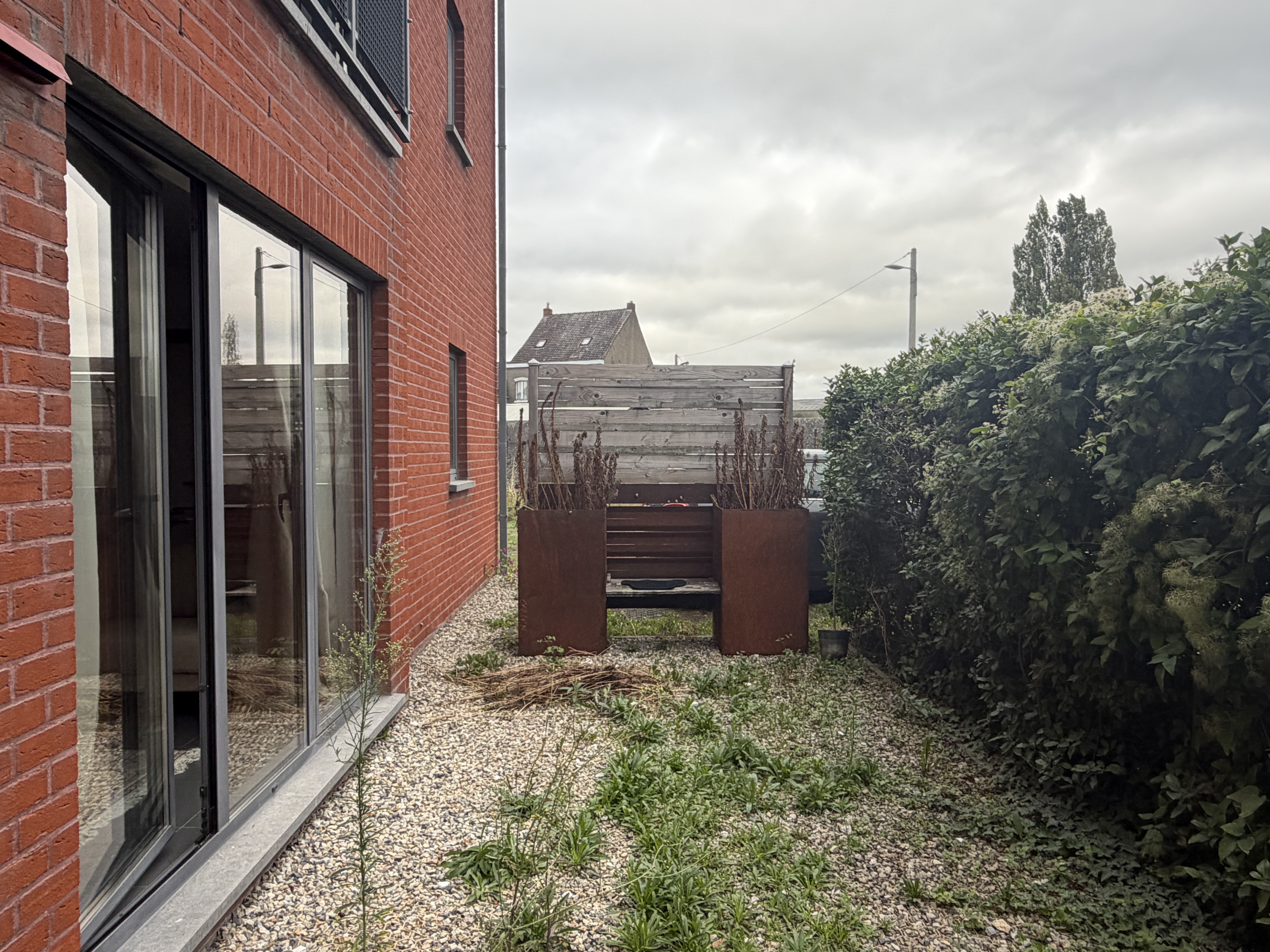 Tom-B01 image 7