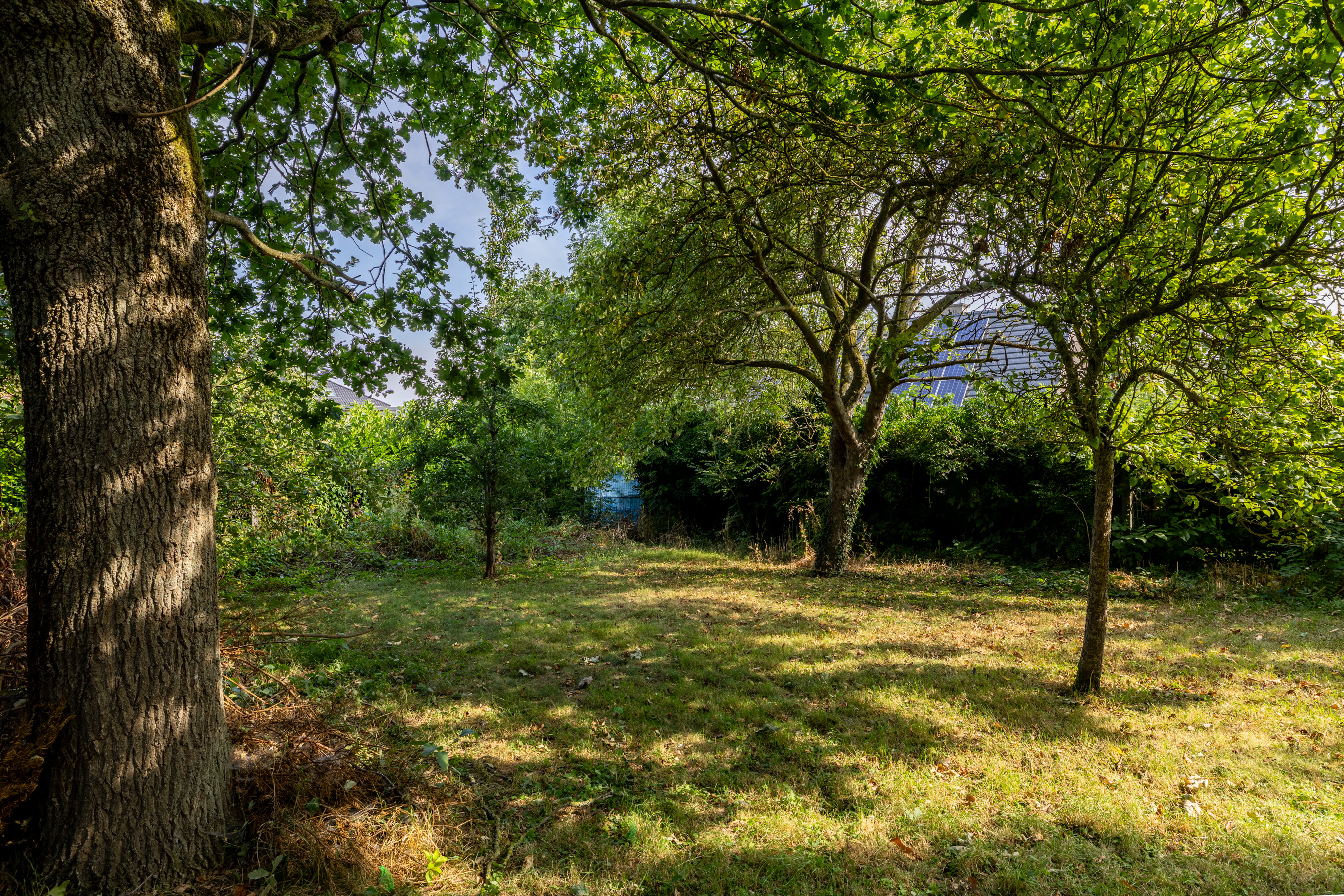 Léo image 7