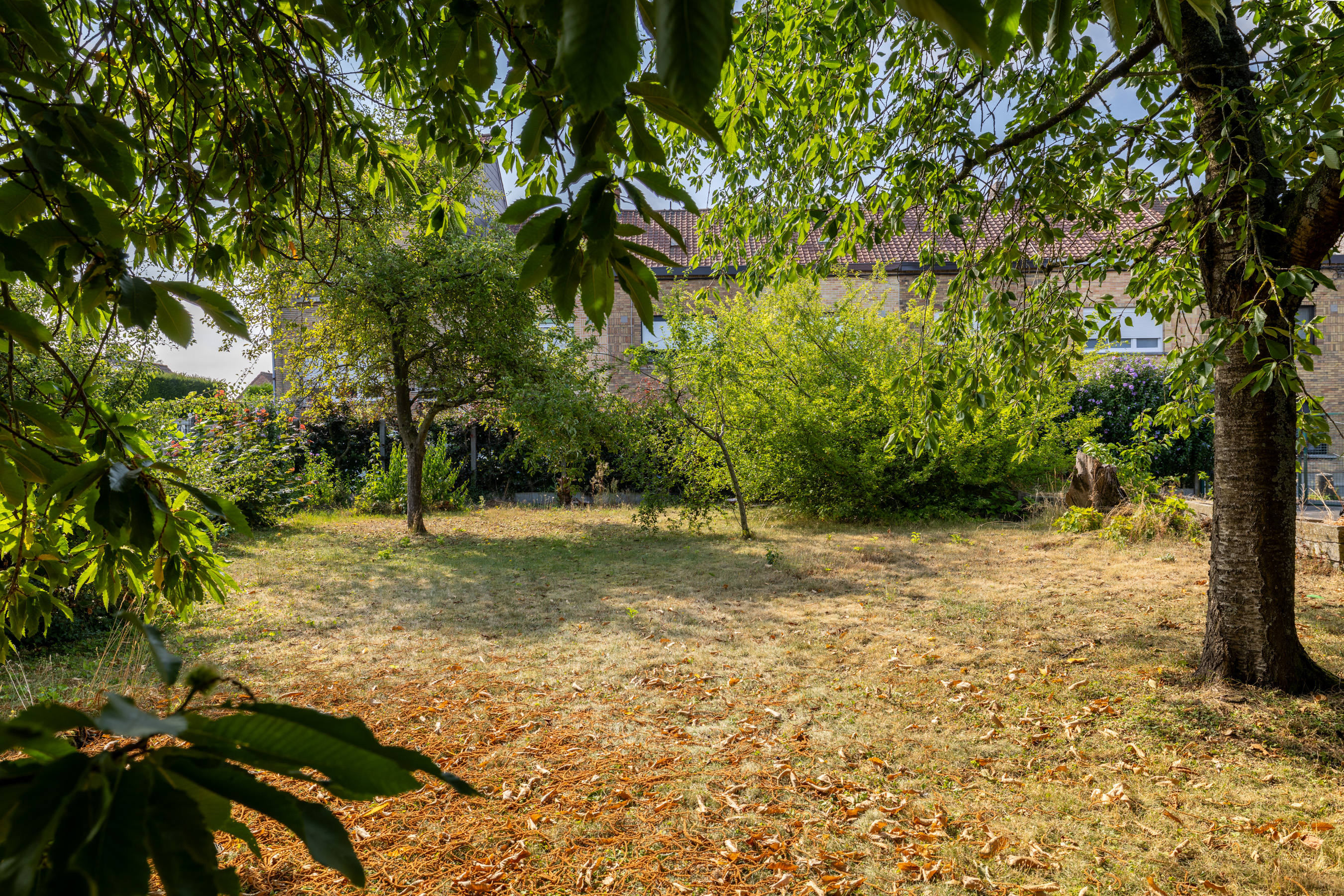 Léo image 4