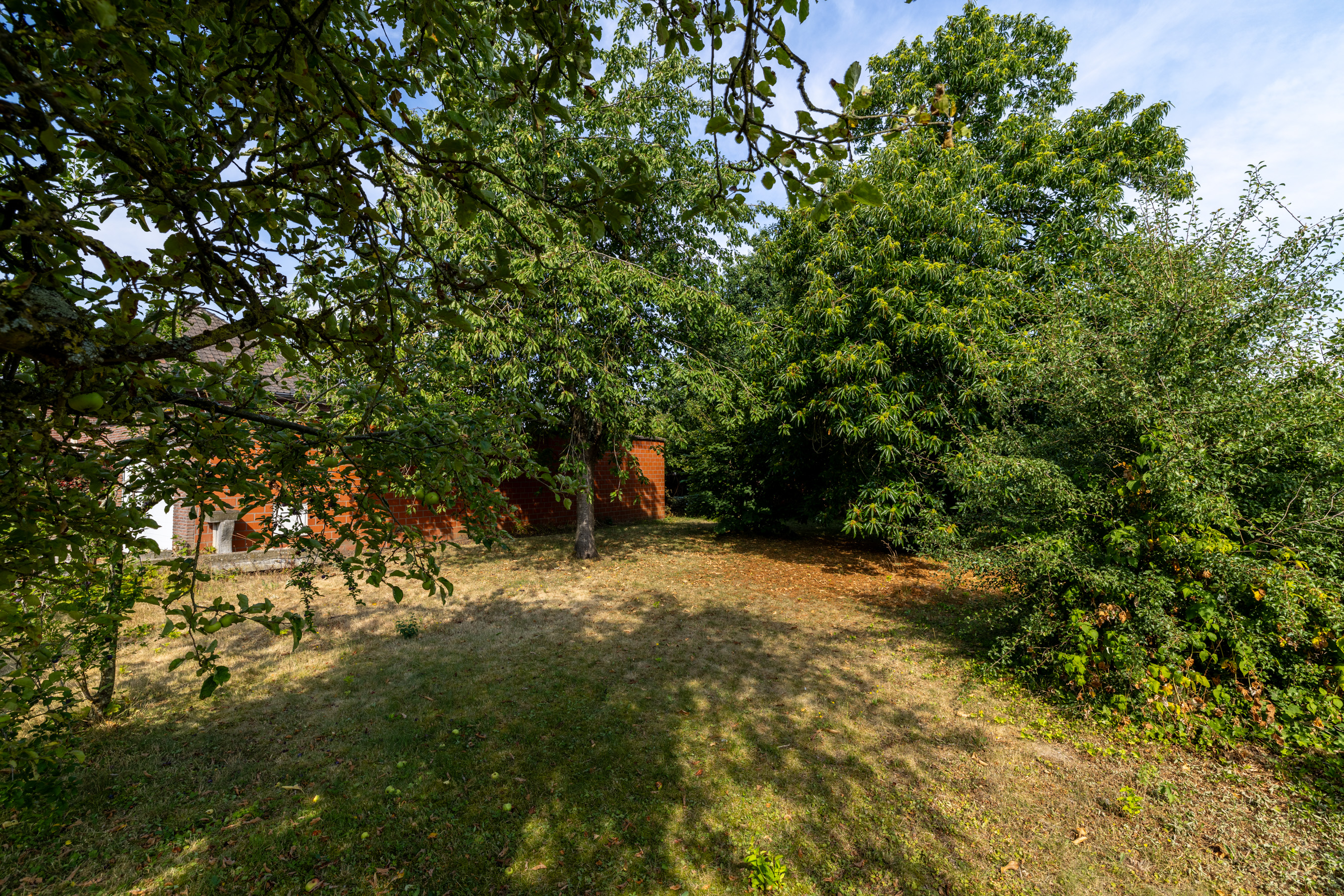 Léo image 6
