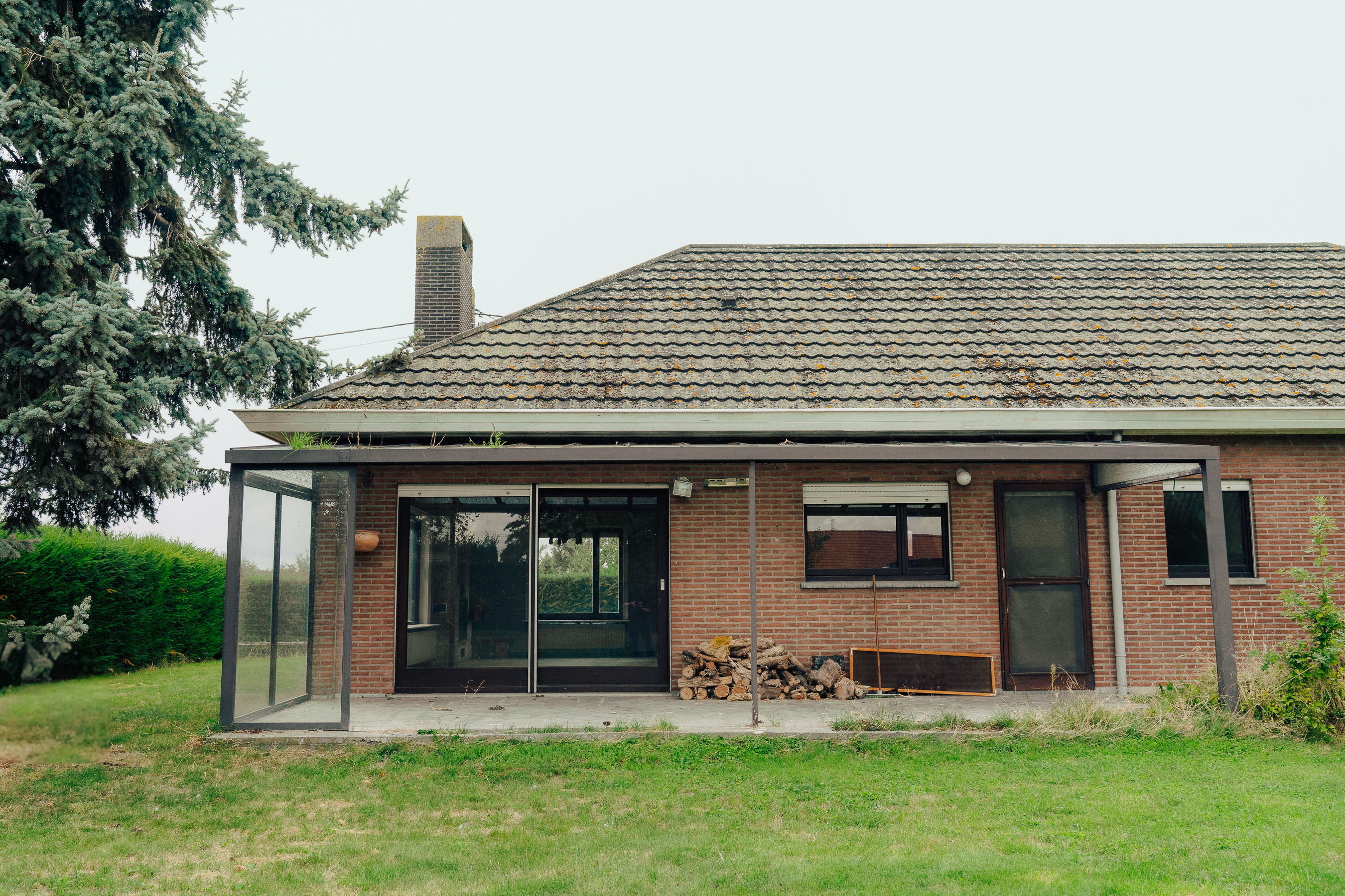 Carinne image 14